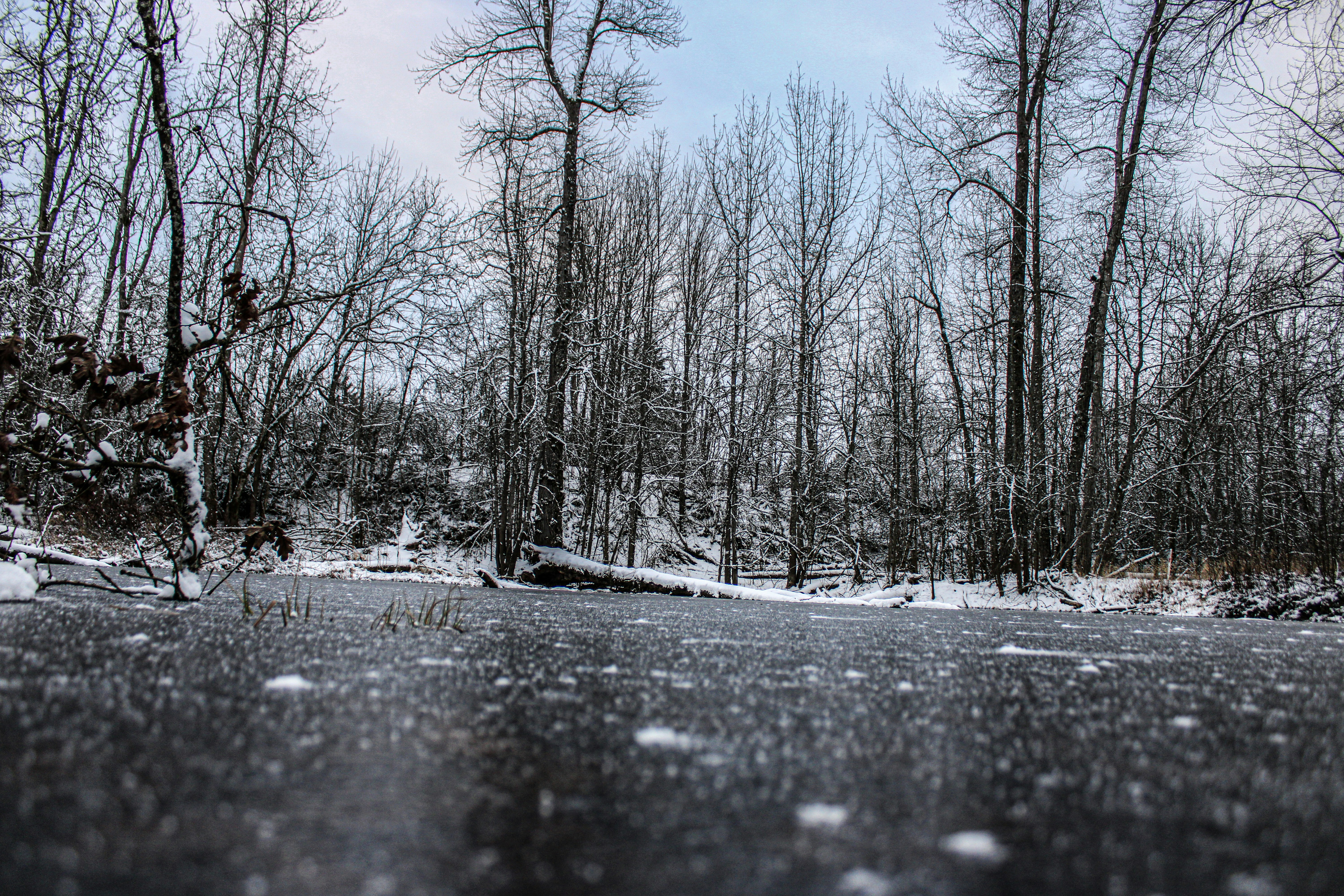 Photo by prphotography262