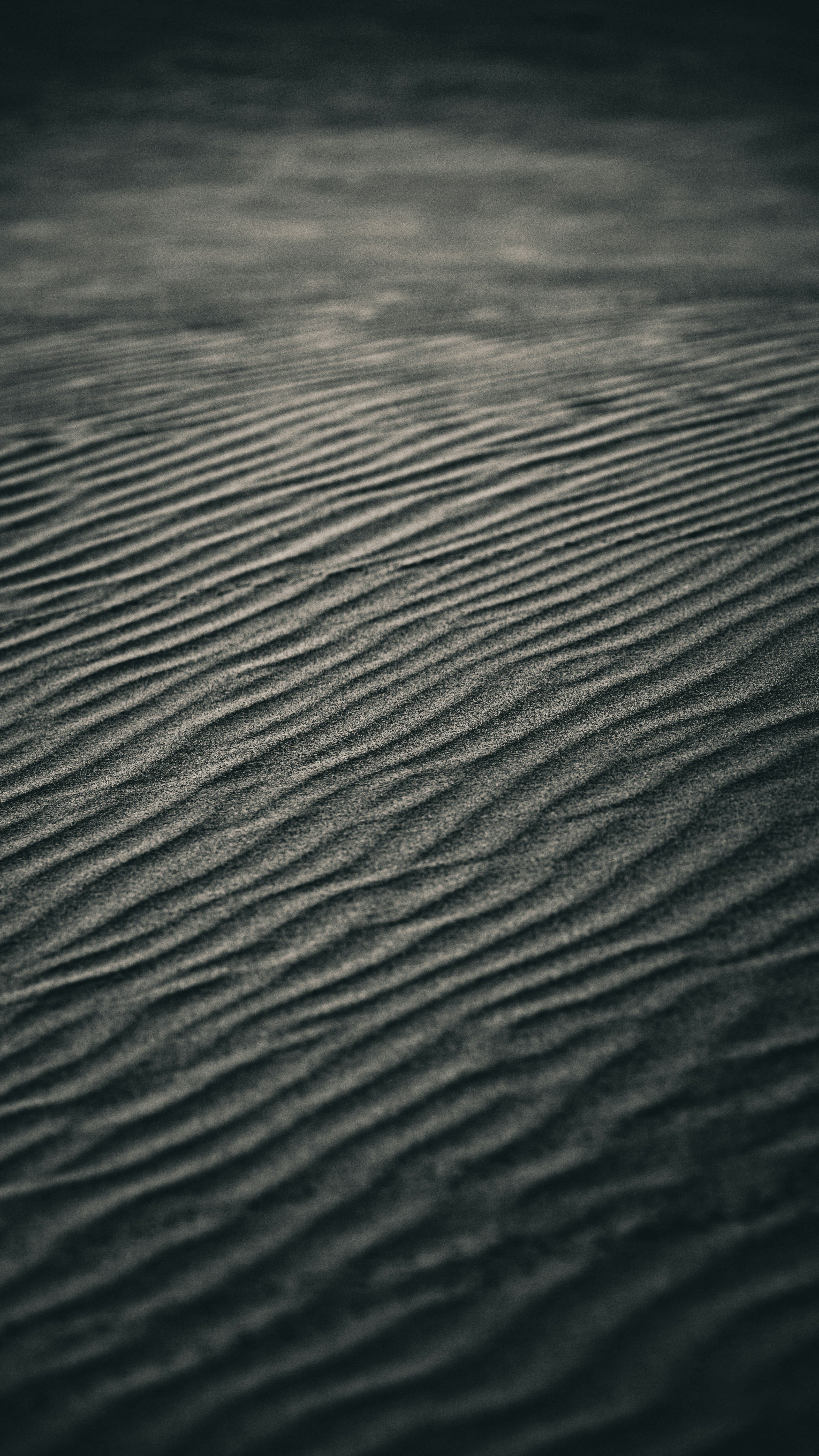 a black and white photo of a sand dune