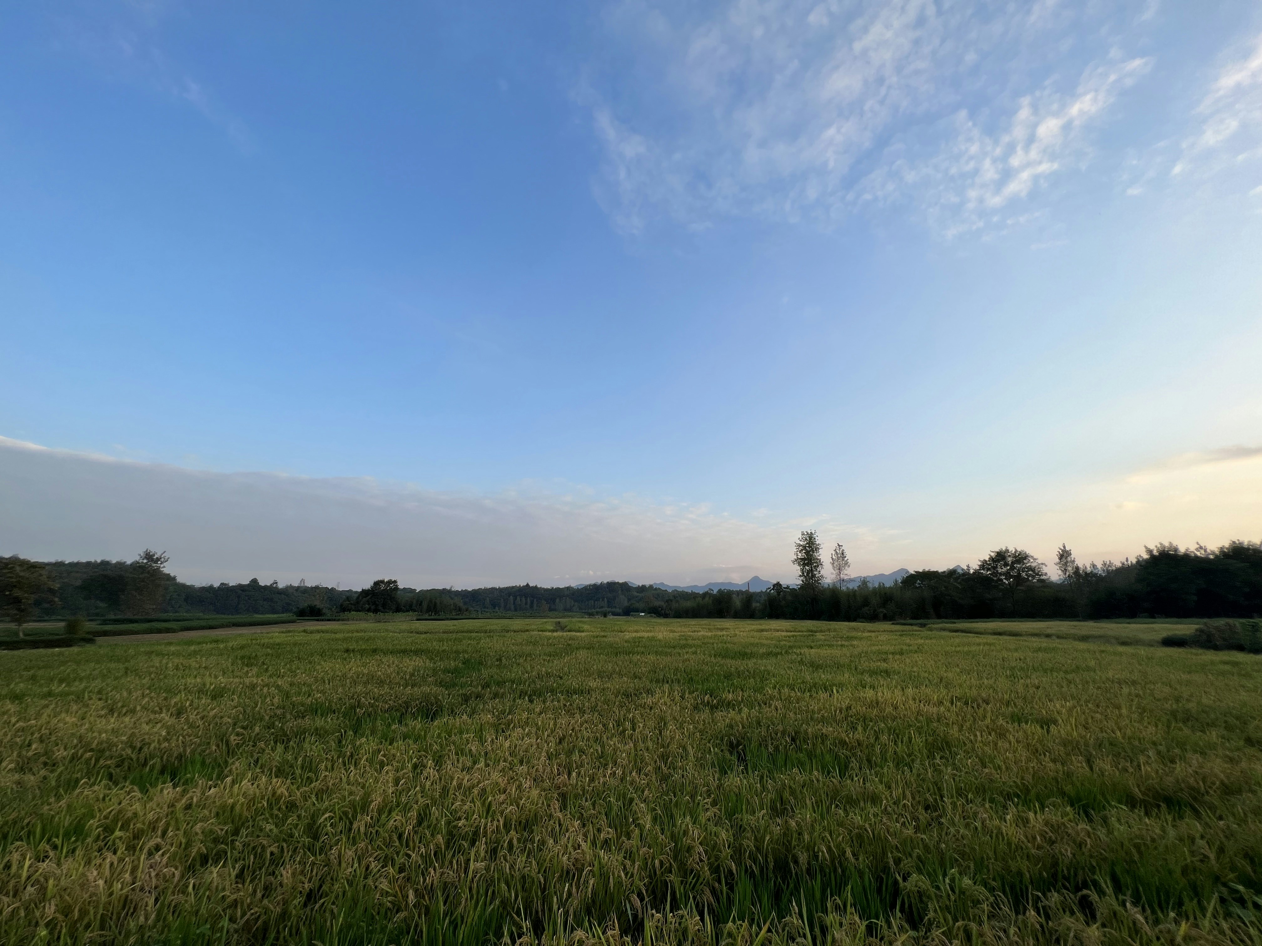 Photo by nefelibataniska