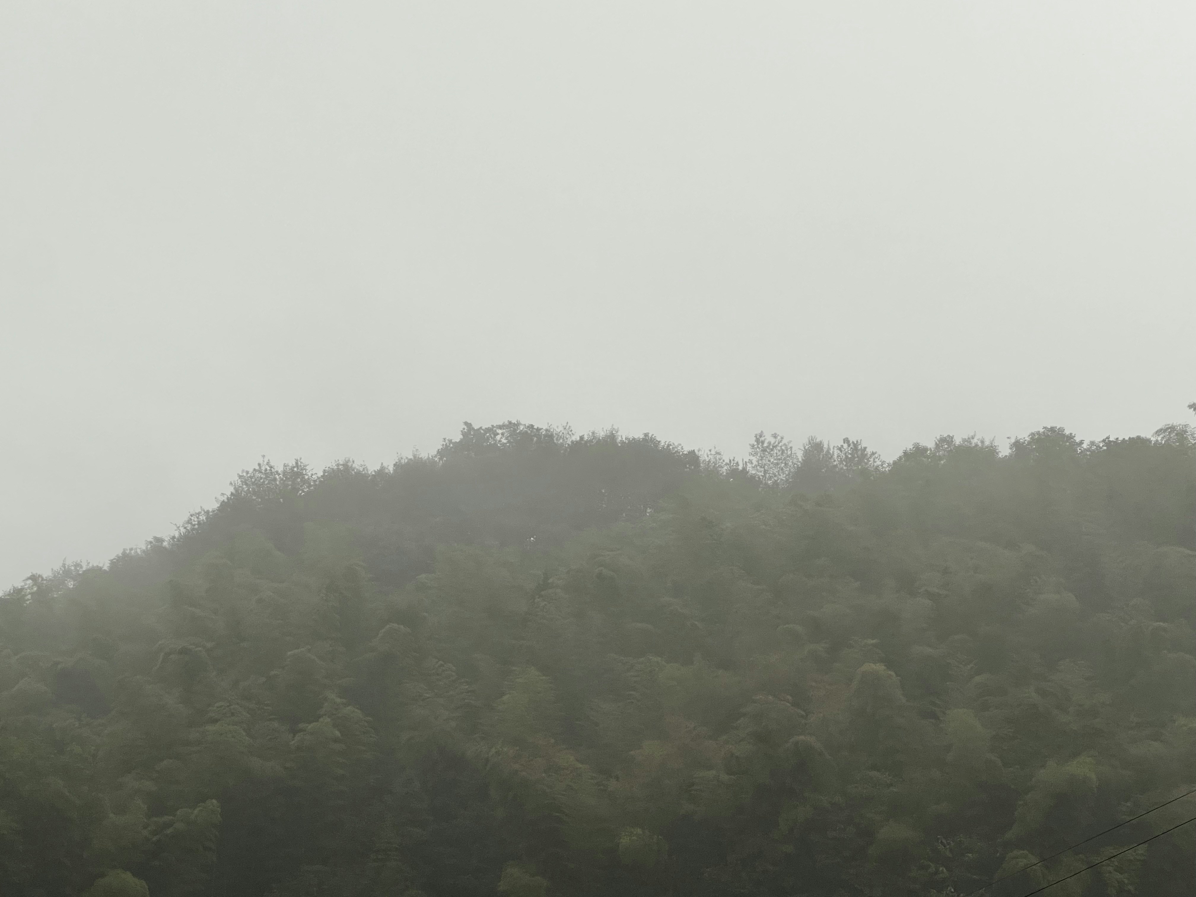 Photo by nefelibataniska