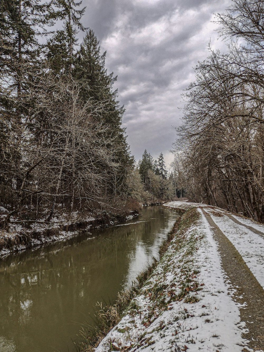 a river running through a snow covered forest