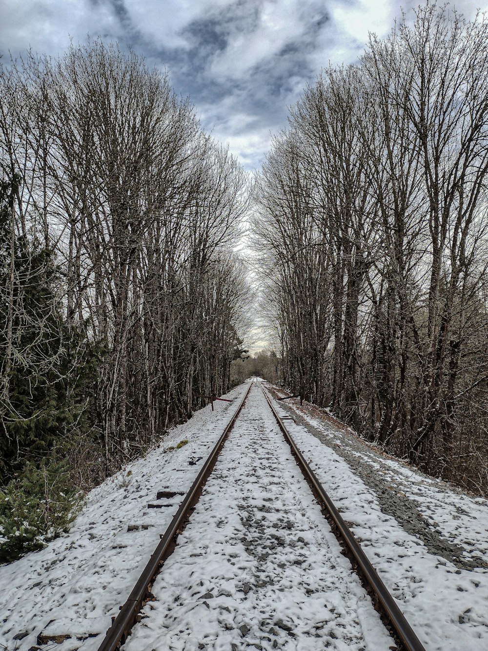 a train track in the middle of a snowy forest