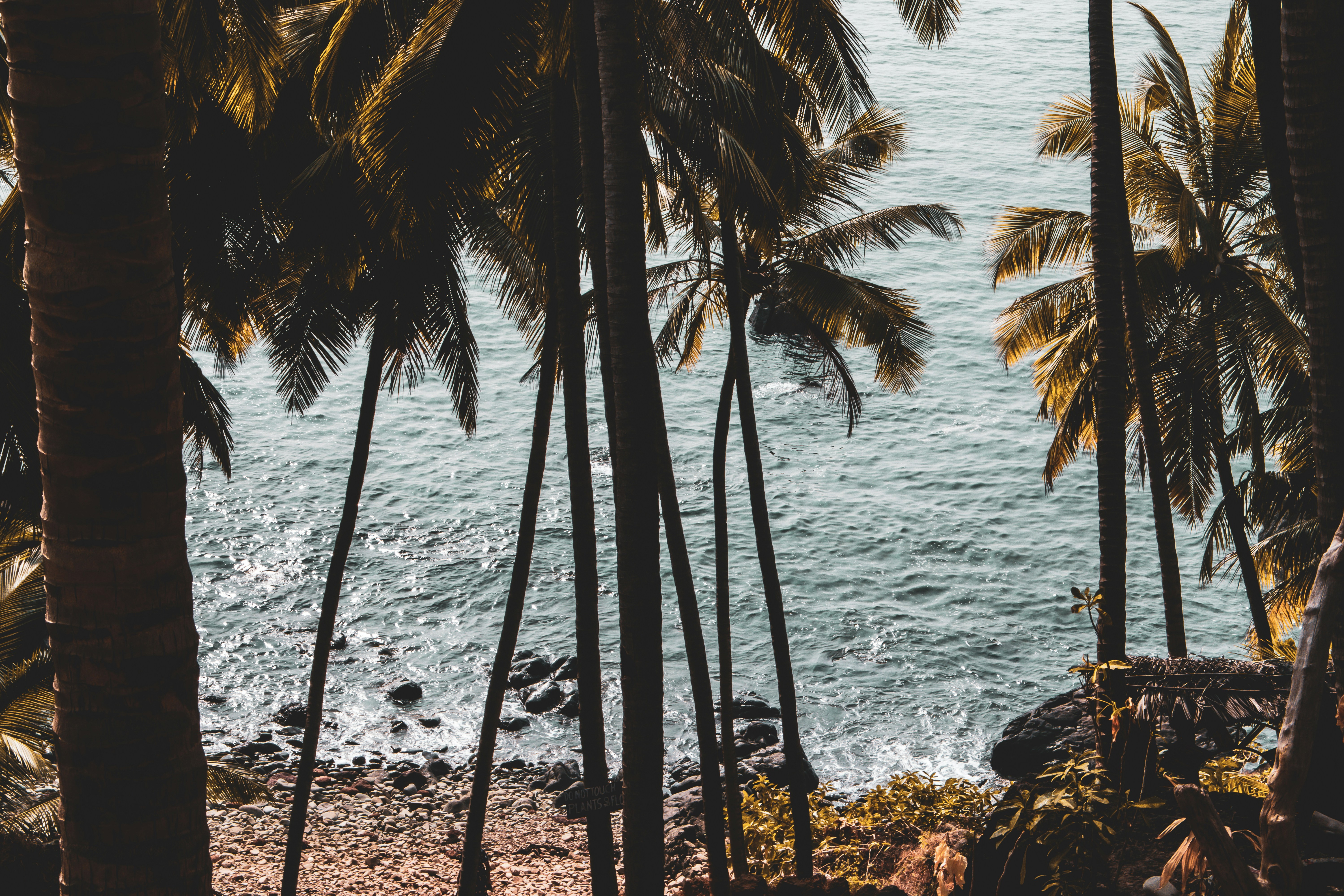 Photo by akshat_jhingran