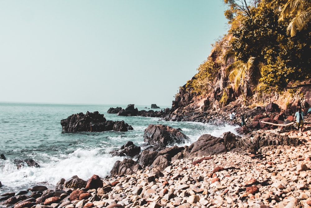 a person standing on a rocky beach next to the ocean