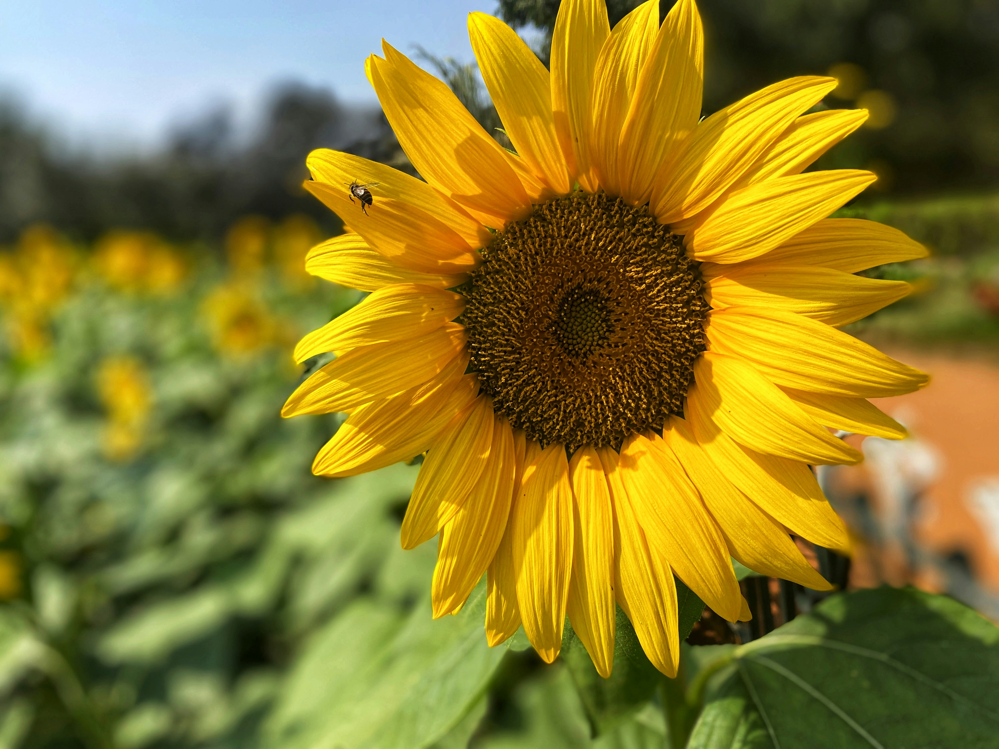 Photo by hithesh_shivakumar