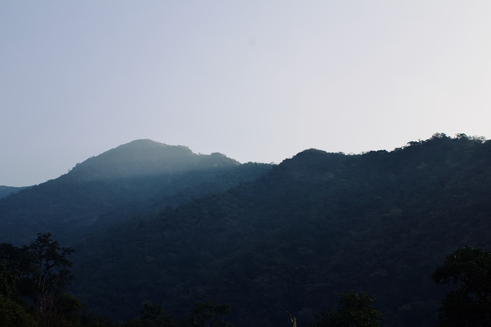 a view of a mountain with trees on the side of it