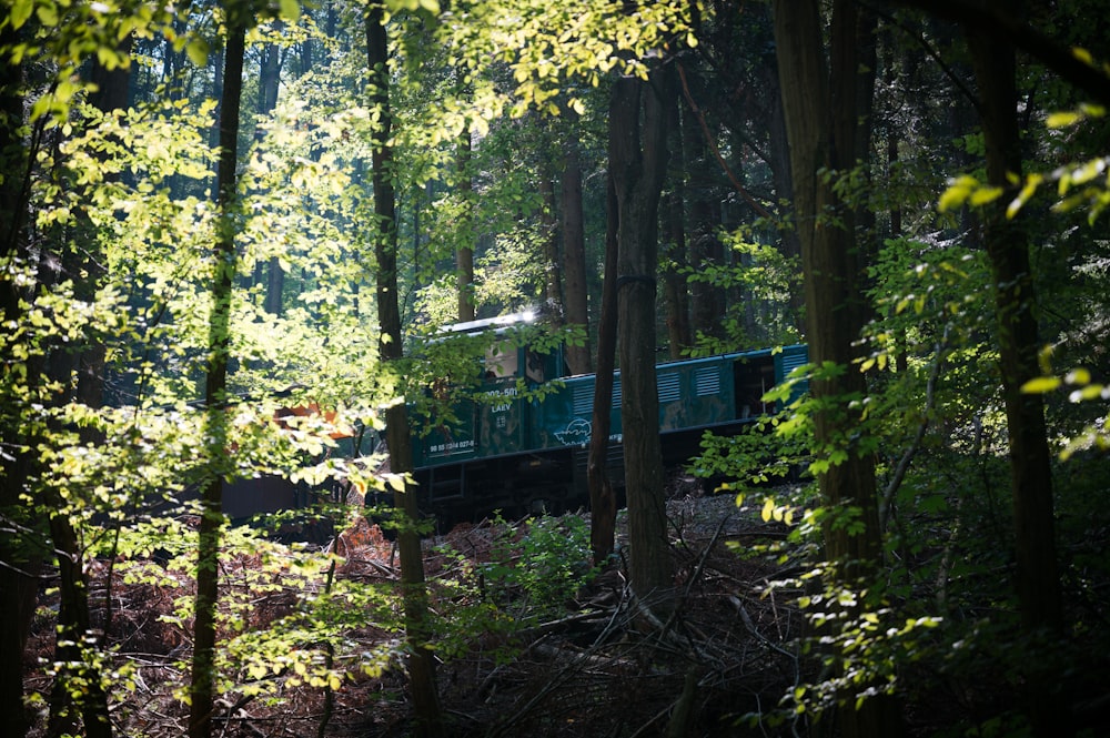 un treno che viaggia attraverso una foresta verde e lussureggiante
