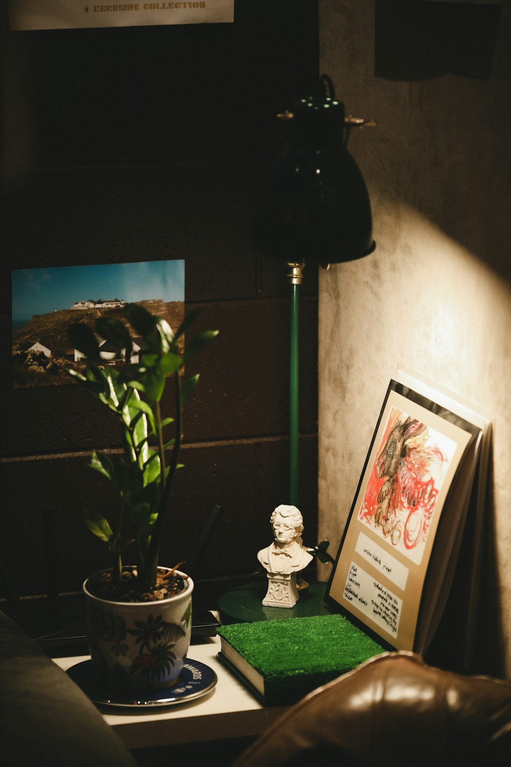 a potted plant sitting on a table next to a picture