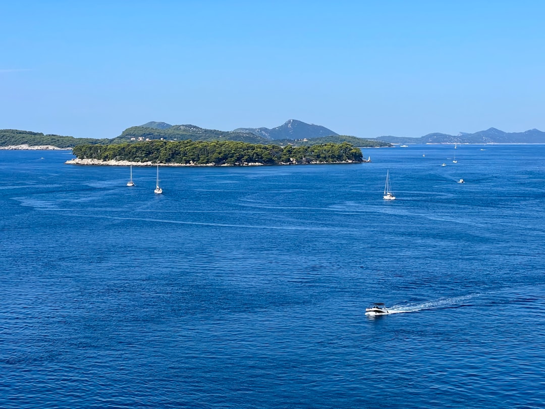 a group of boats floating on top of a large body of water,