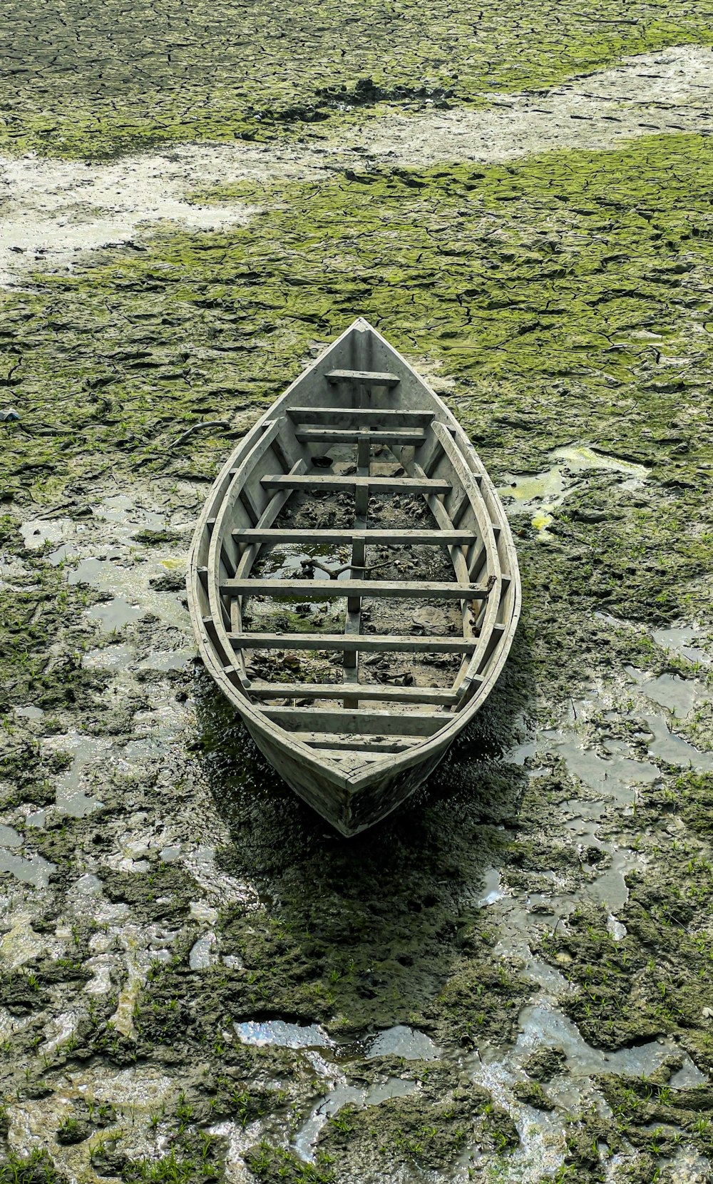 a boat sitting on top of a lush green field