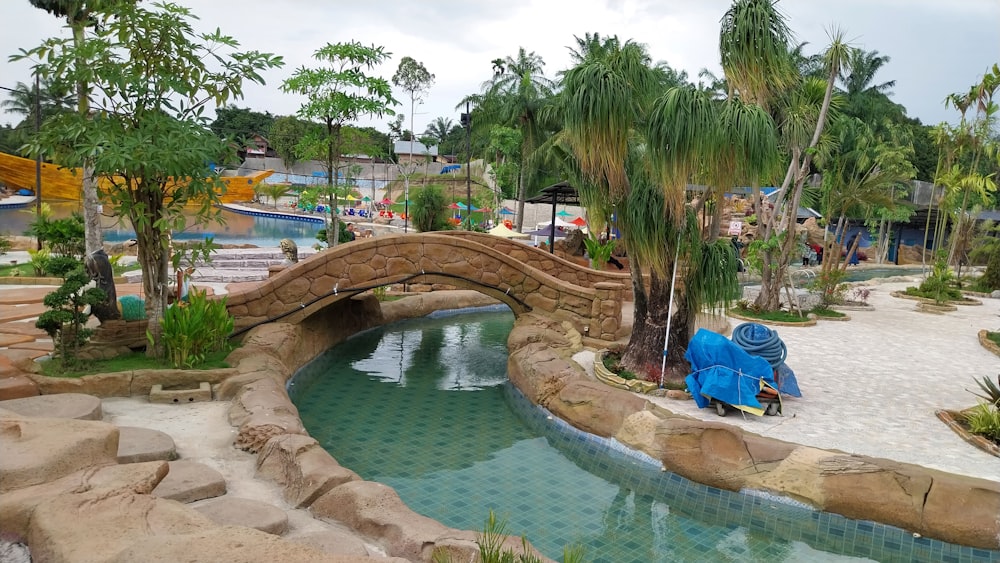 a small pond with a bridge over it