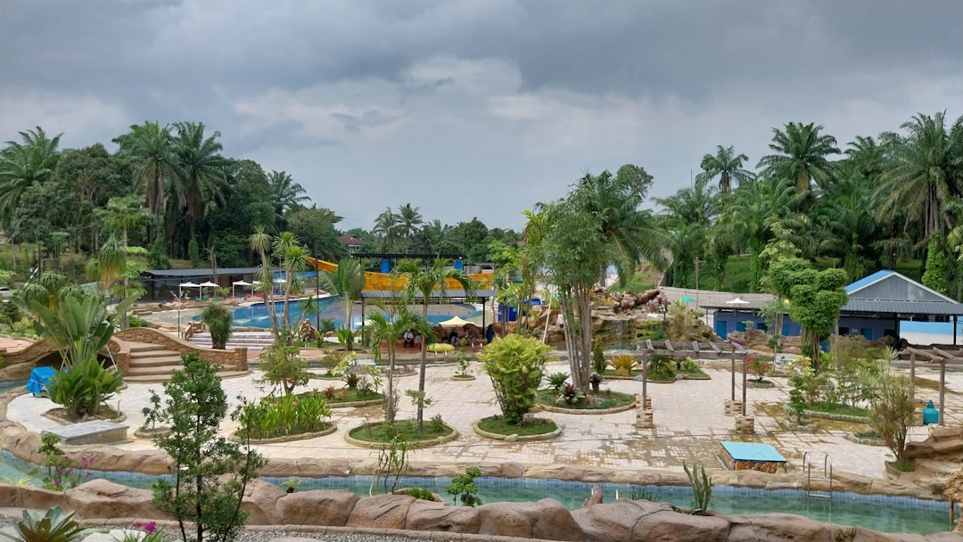 a large pool surrounded by trees and rocks,