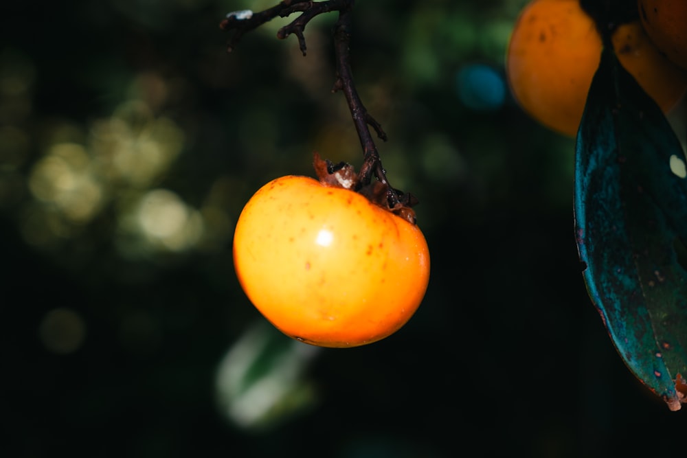 a close up of an orange hanging from a tree