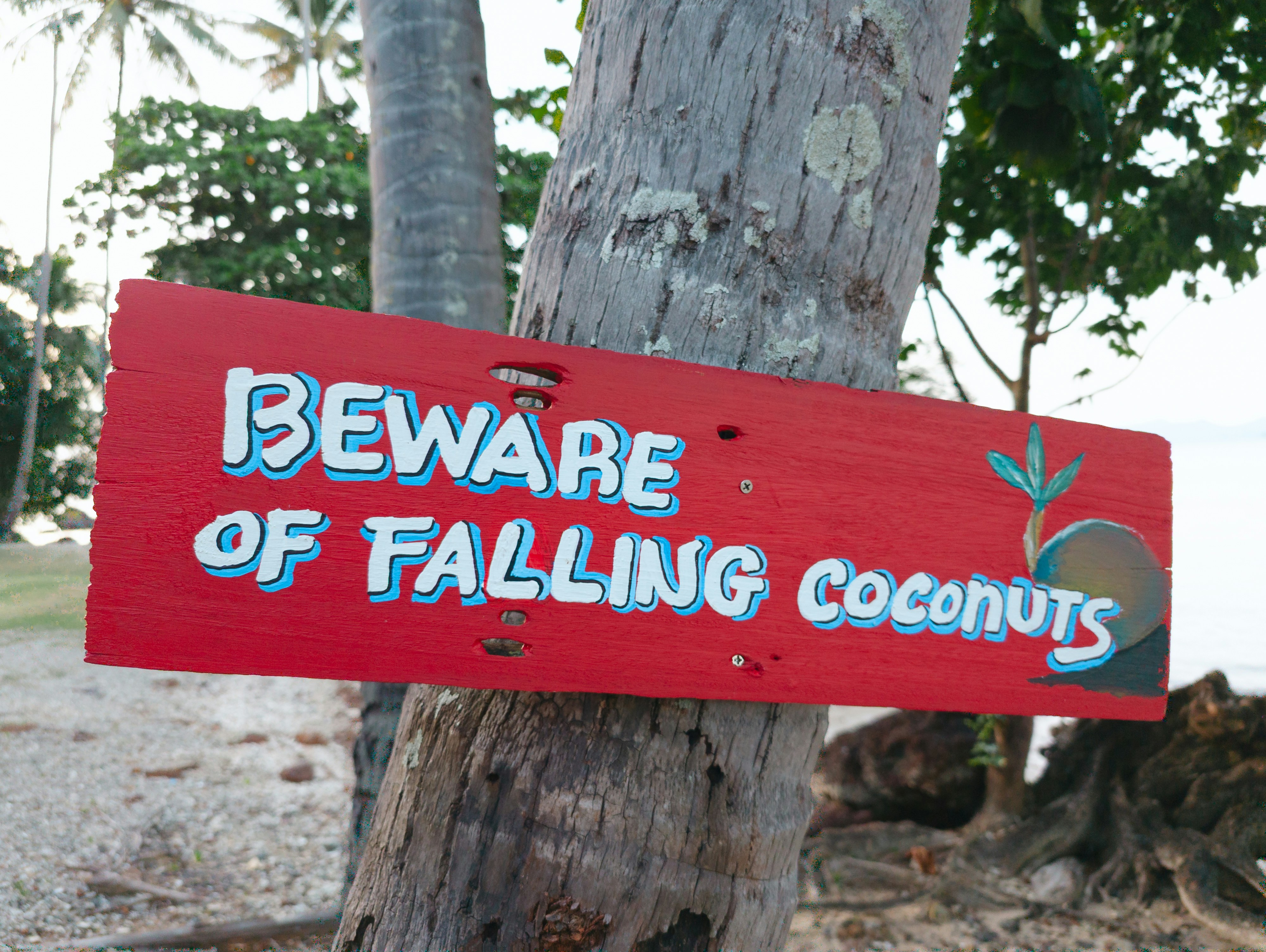 Un letrero rojo que dice cuidado con los cocos que caen