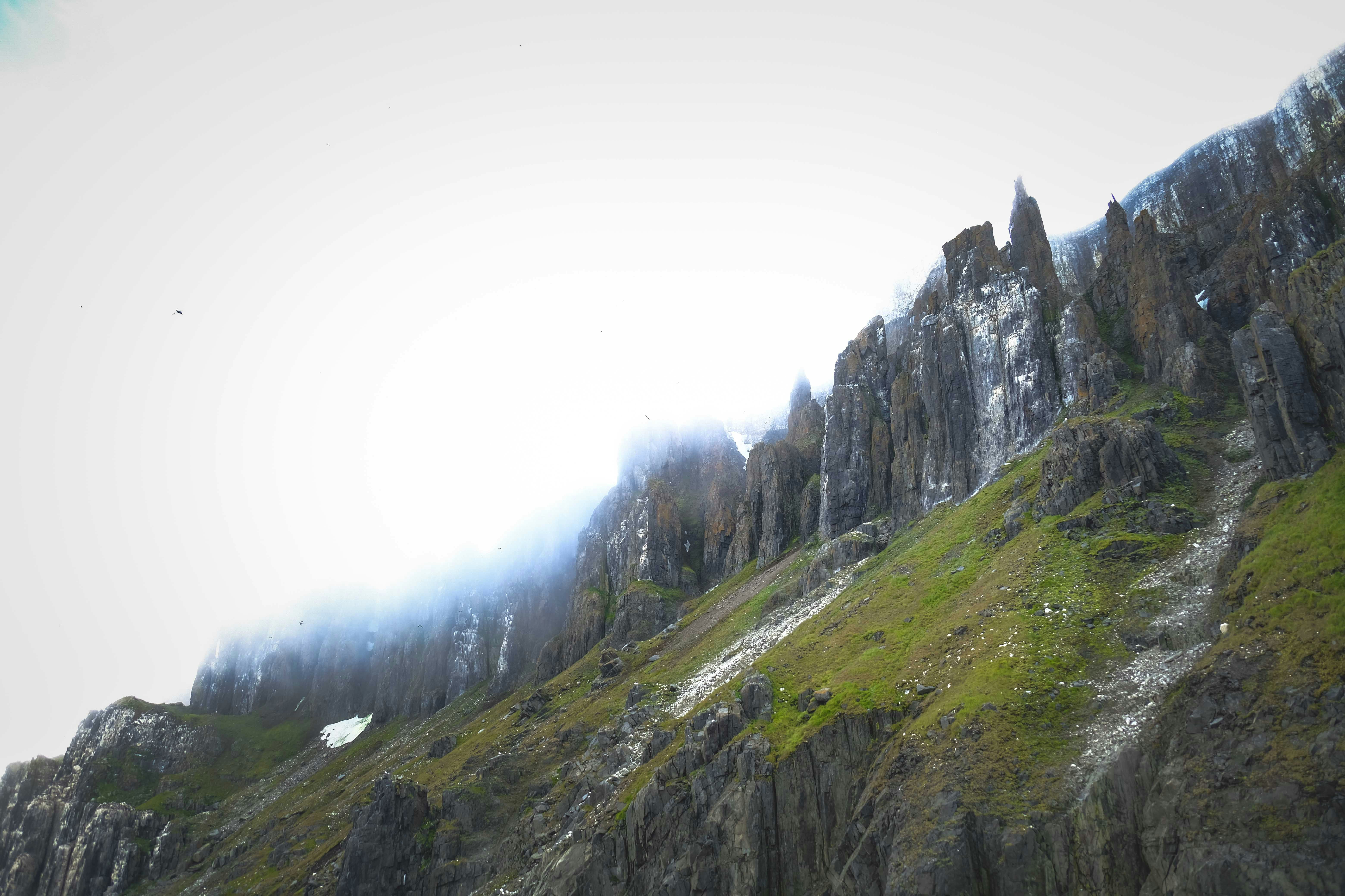 Photo by francesco_ungaro