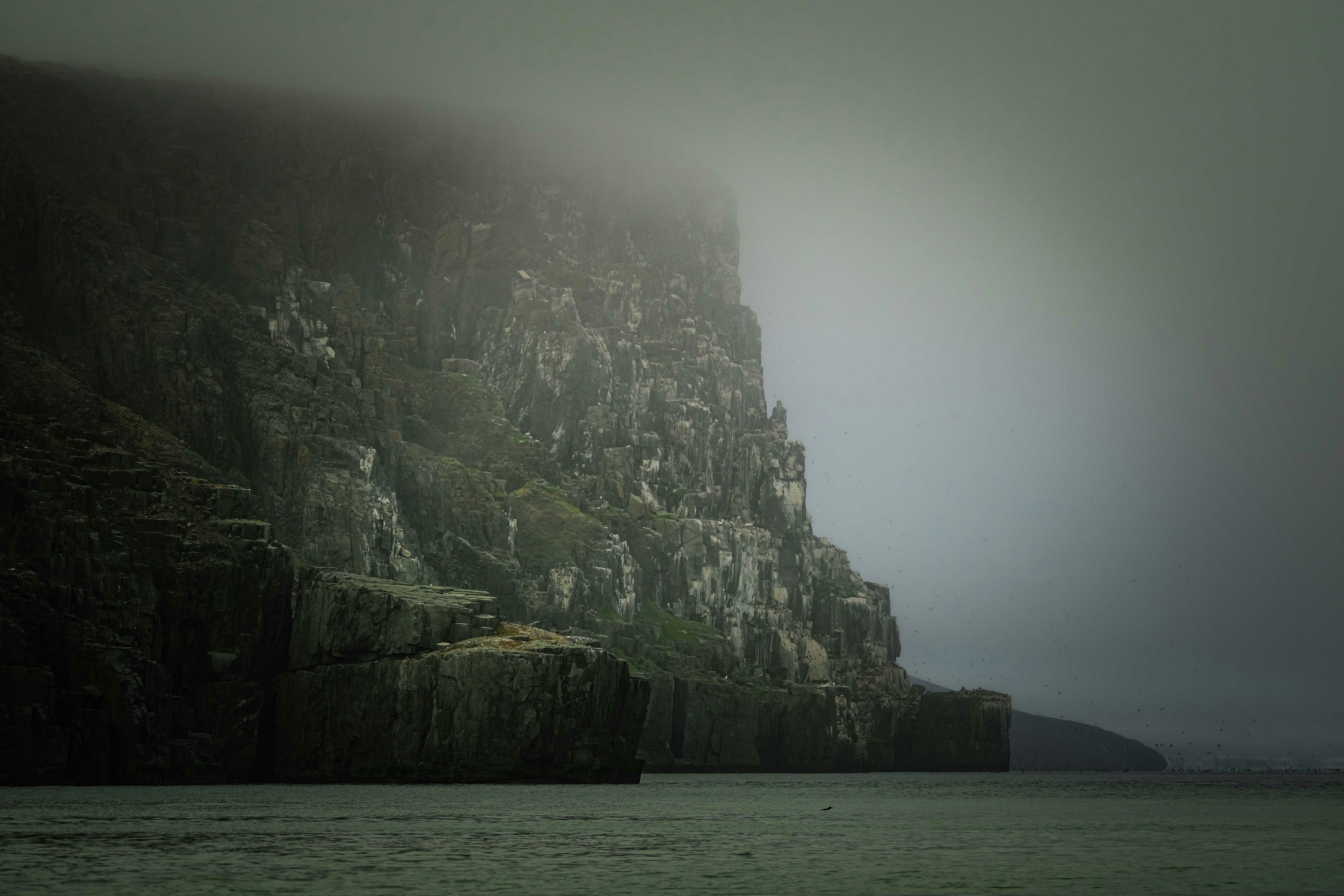 Photo by francesco_ungaro