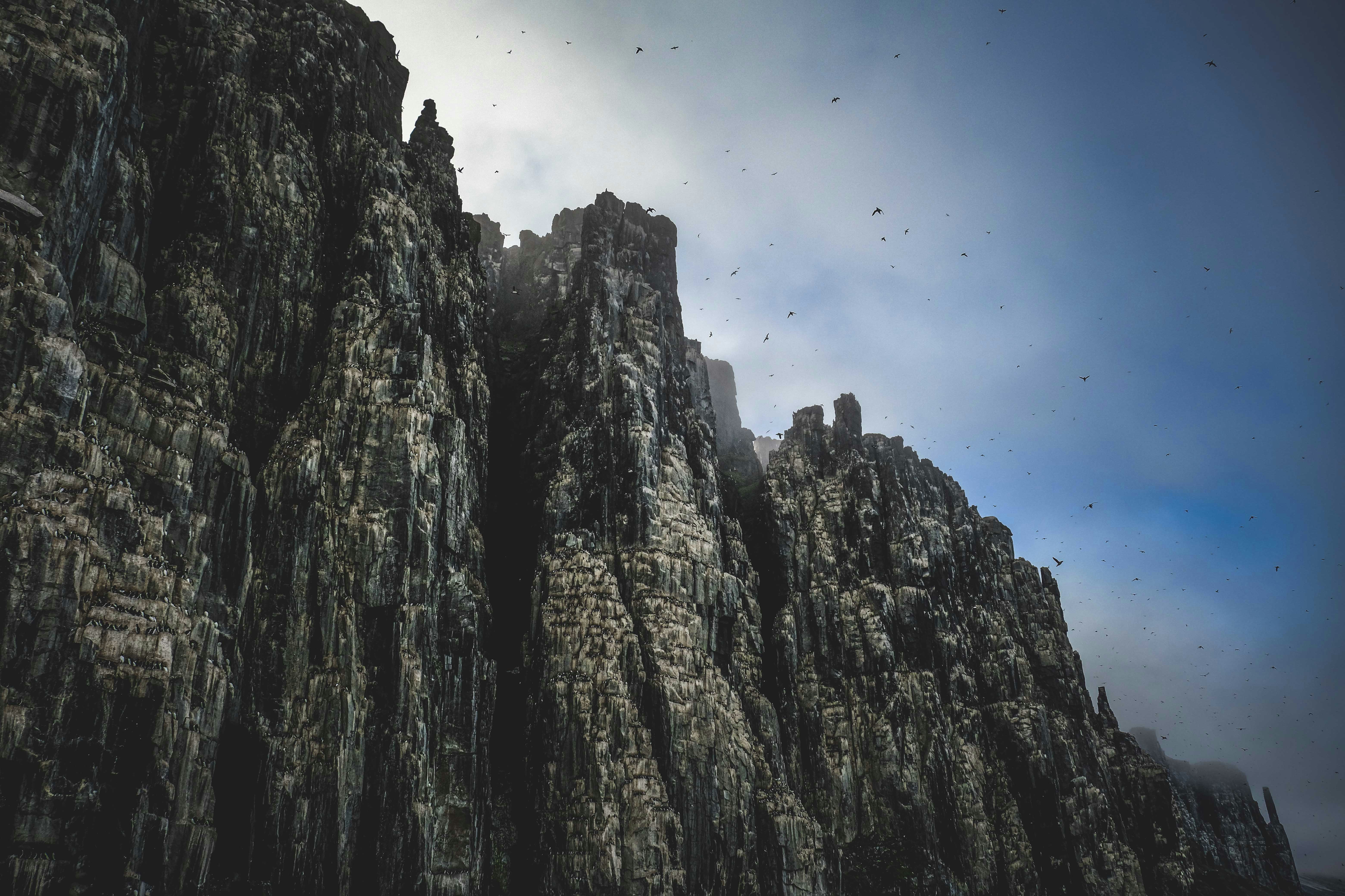 Photo by francesco_ungaro