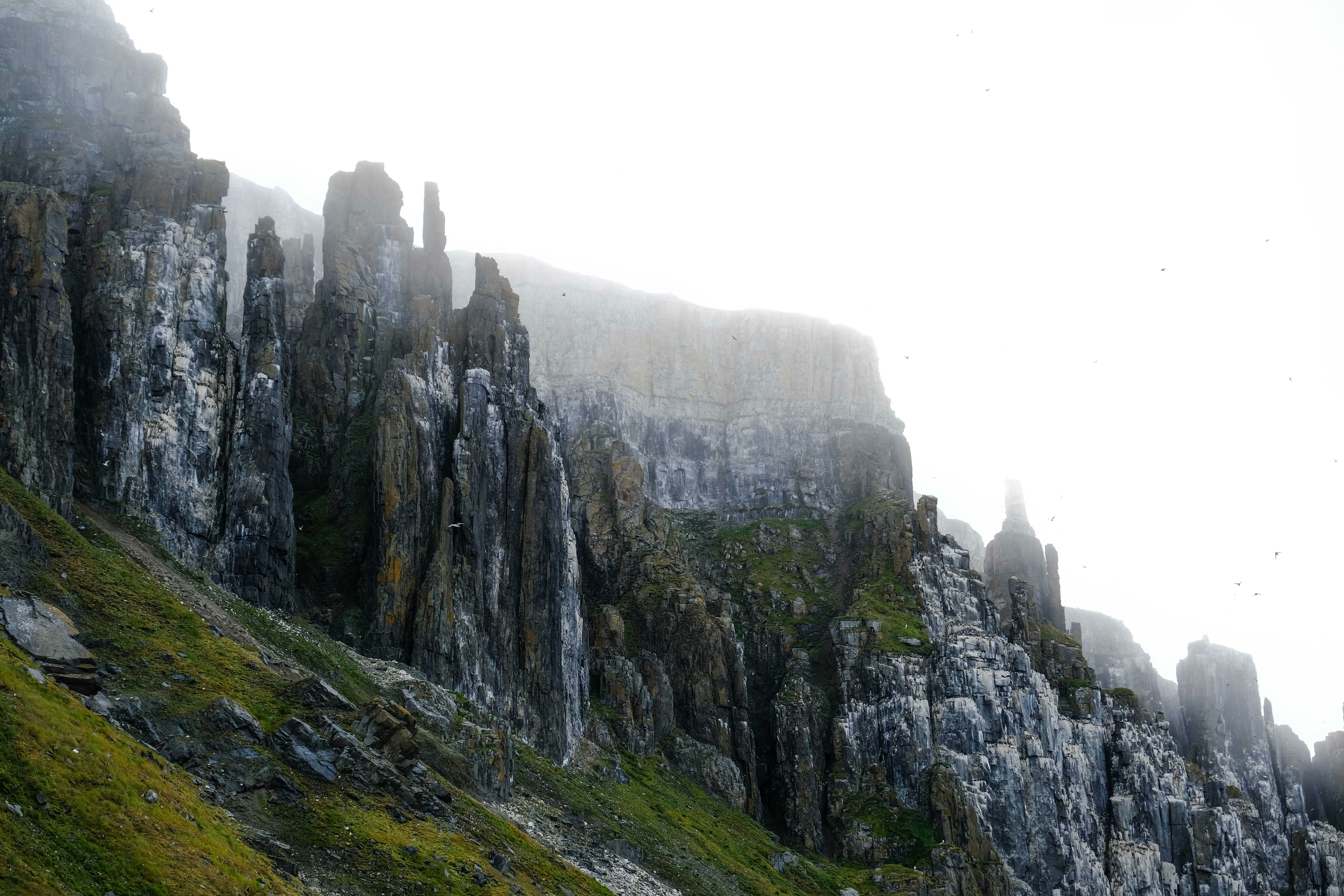 Photo by francesco_ungaro