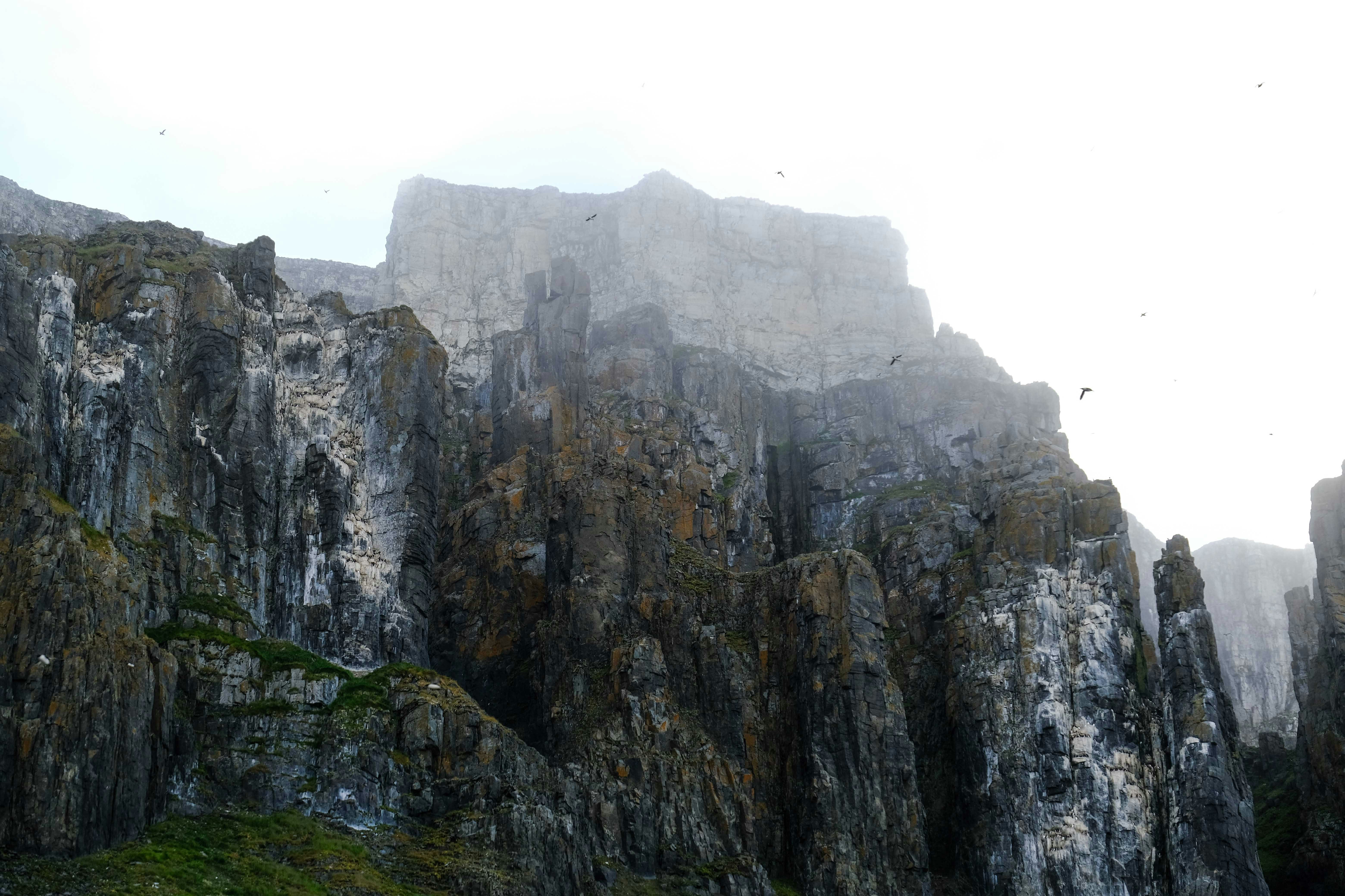 Photo by francesco_ungaro