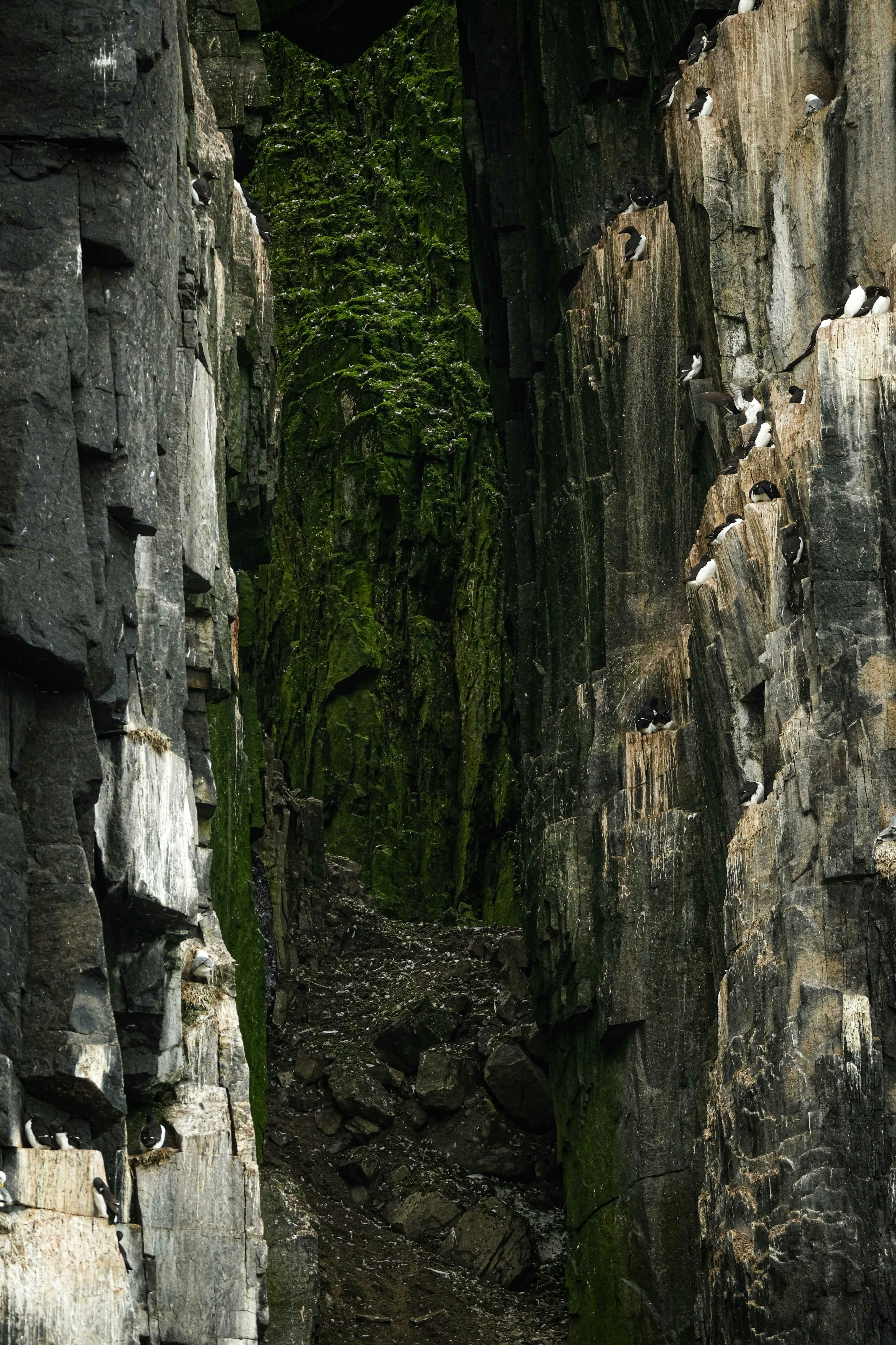 Photo by francesco_ungaro