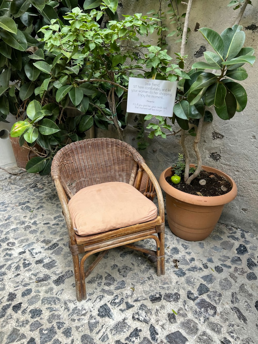 a chair sitting next to a potted plant