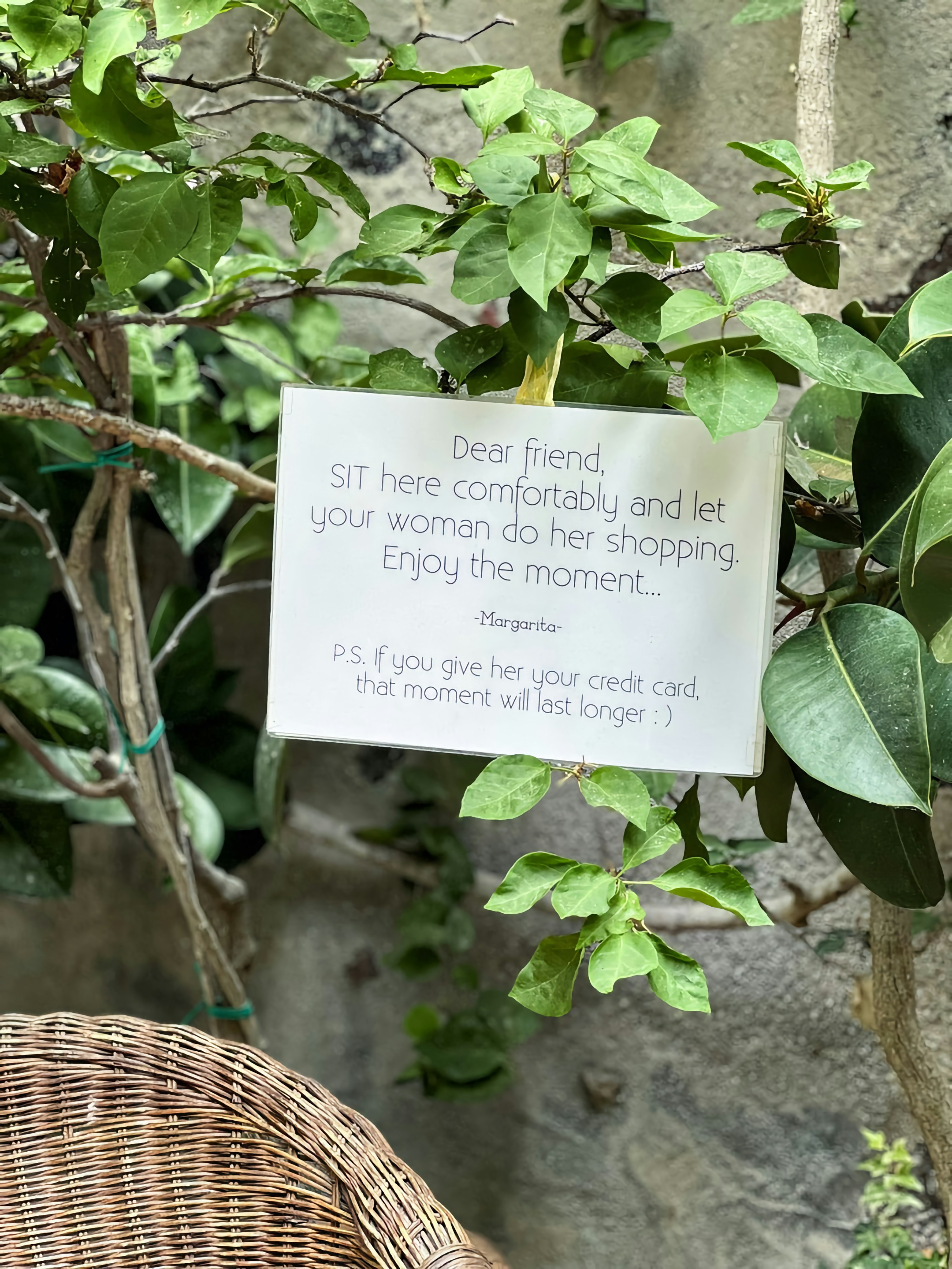 a sign hanging from a tree in a garden