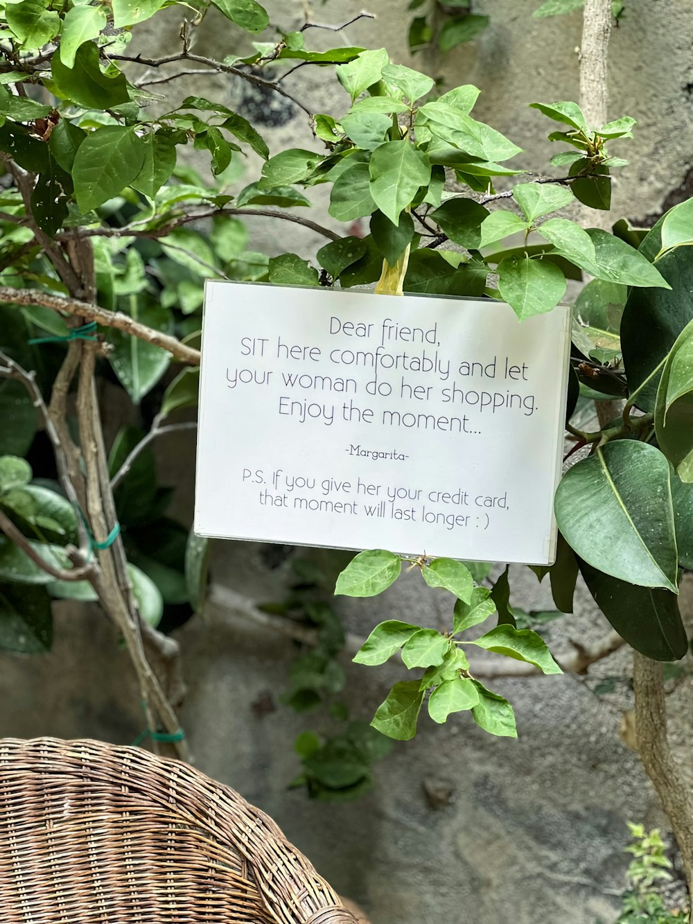 a sign hanging from a tree in a garden