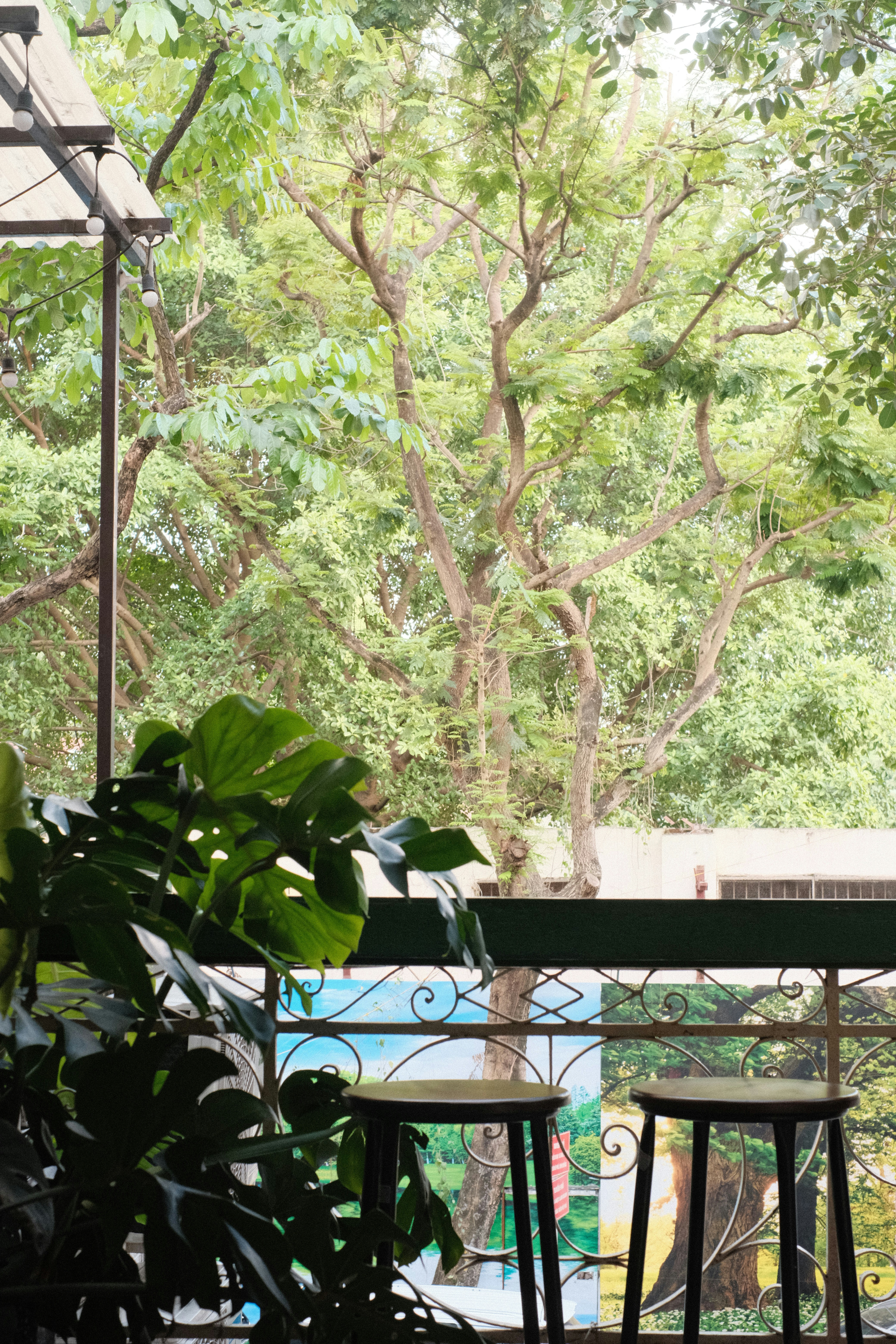 Photo by donguyenkhanhs