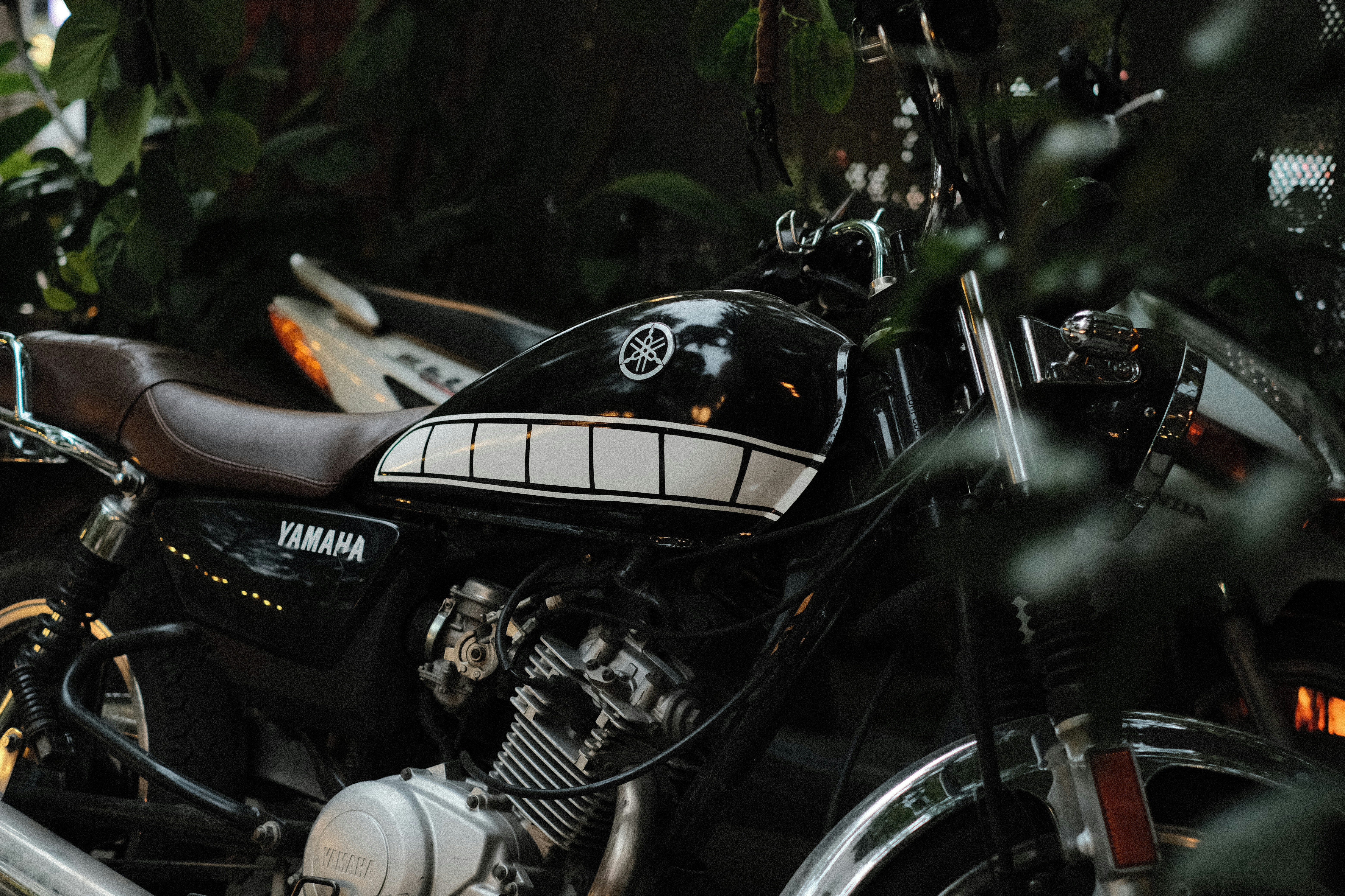 Photo by donguyenkhanhs