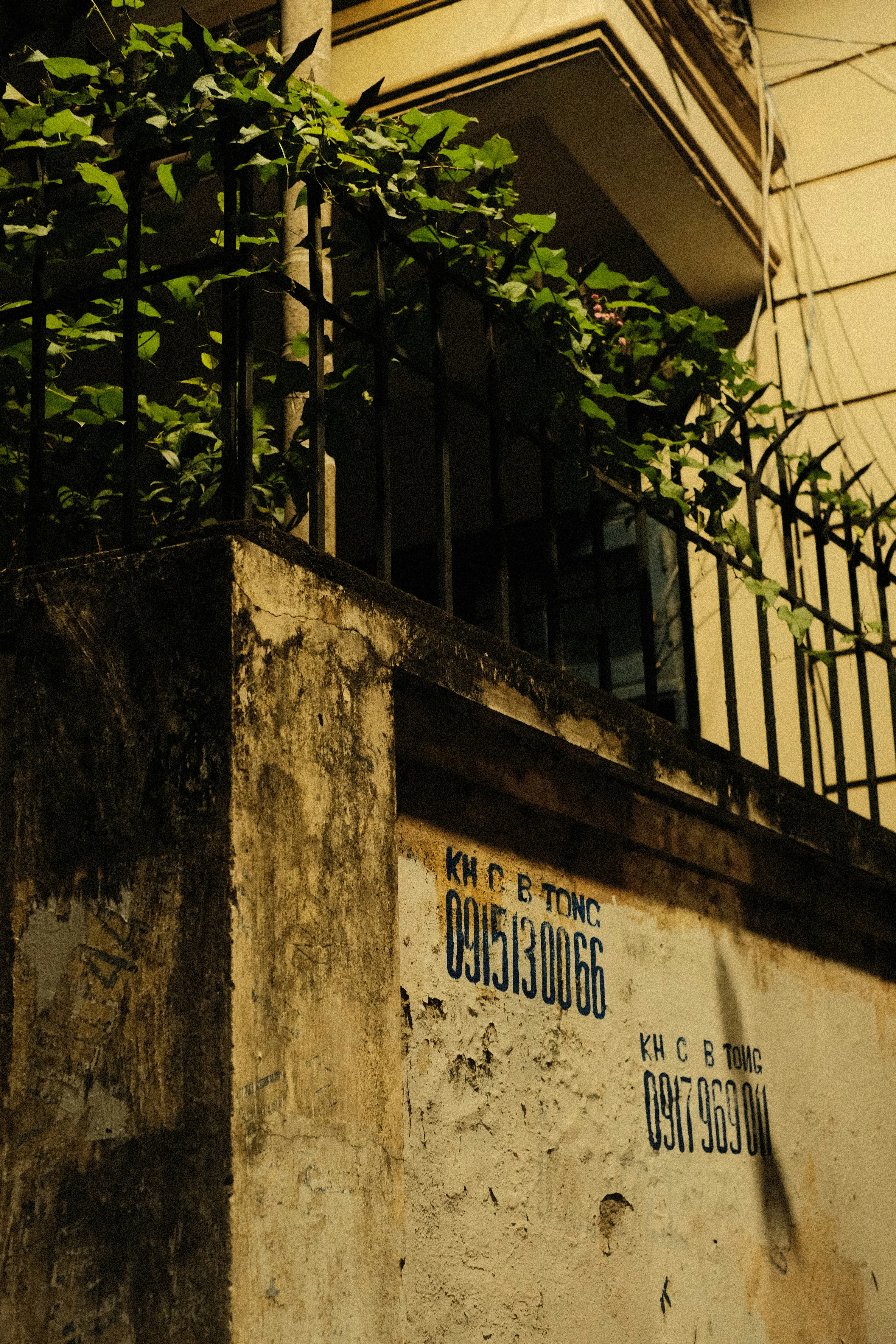 Photo by donguyenkhanhs