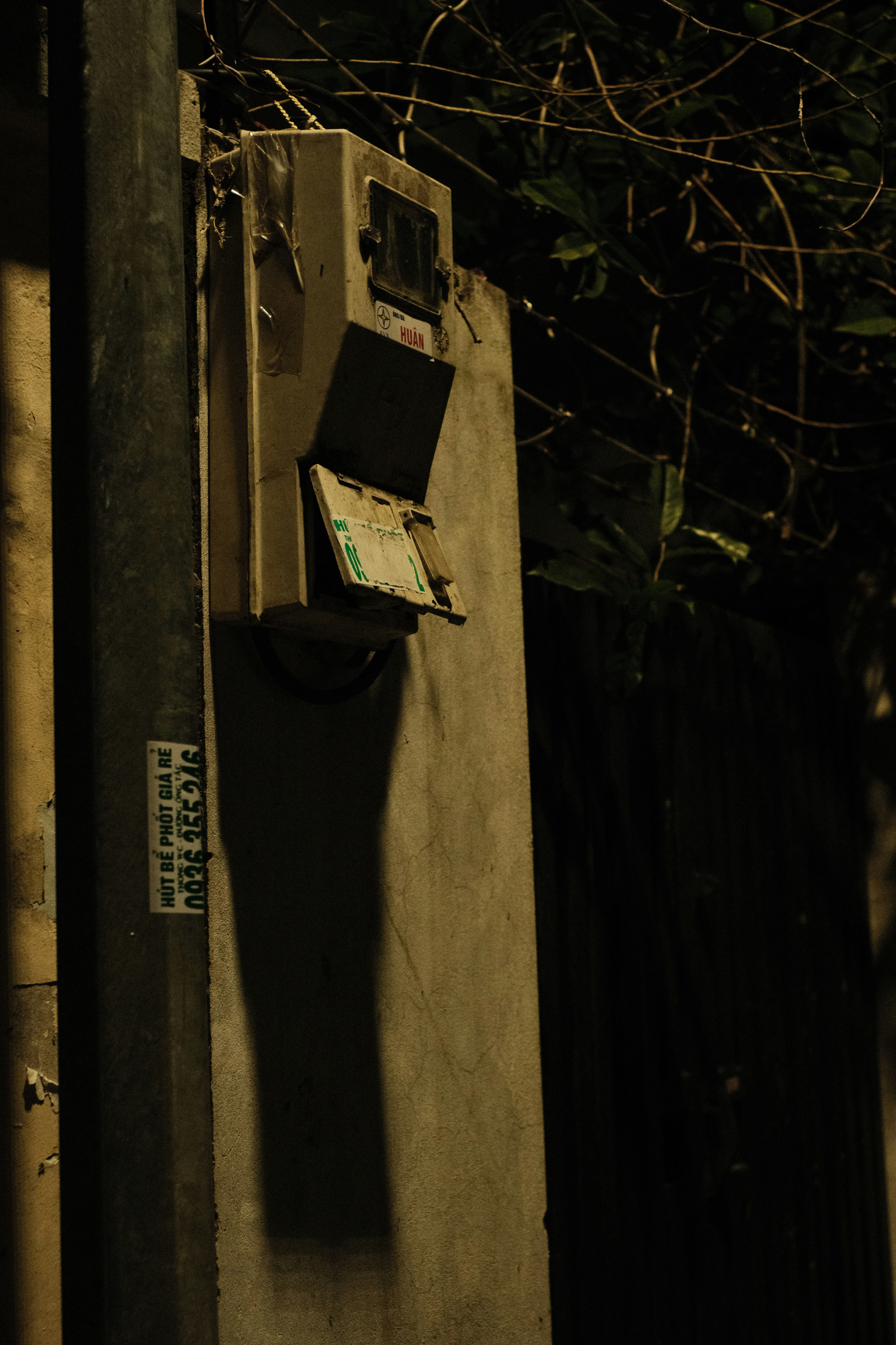 Photo by donguyenkhanhs