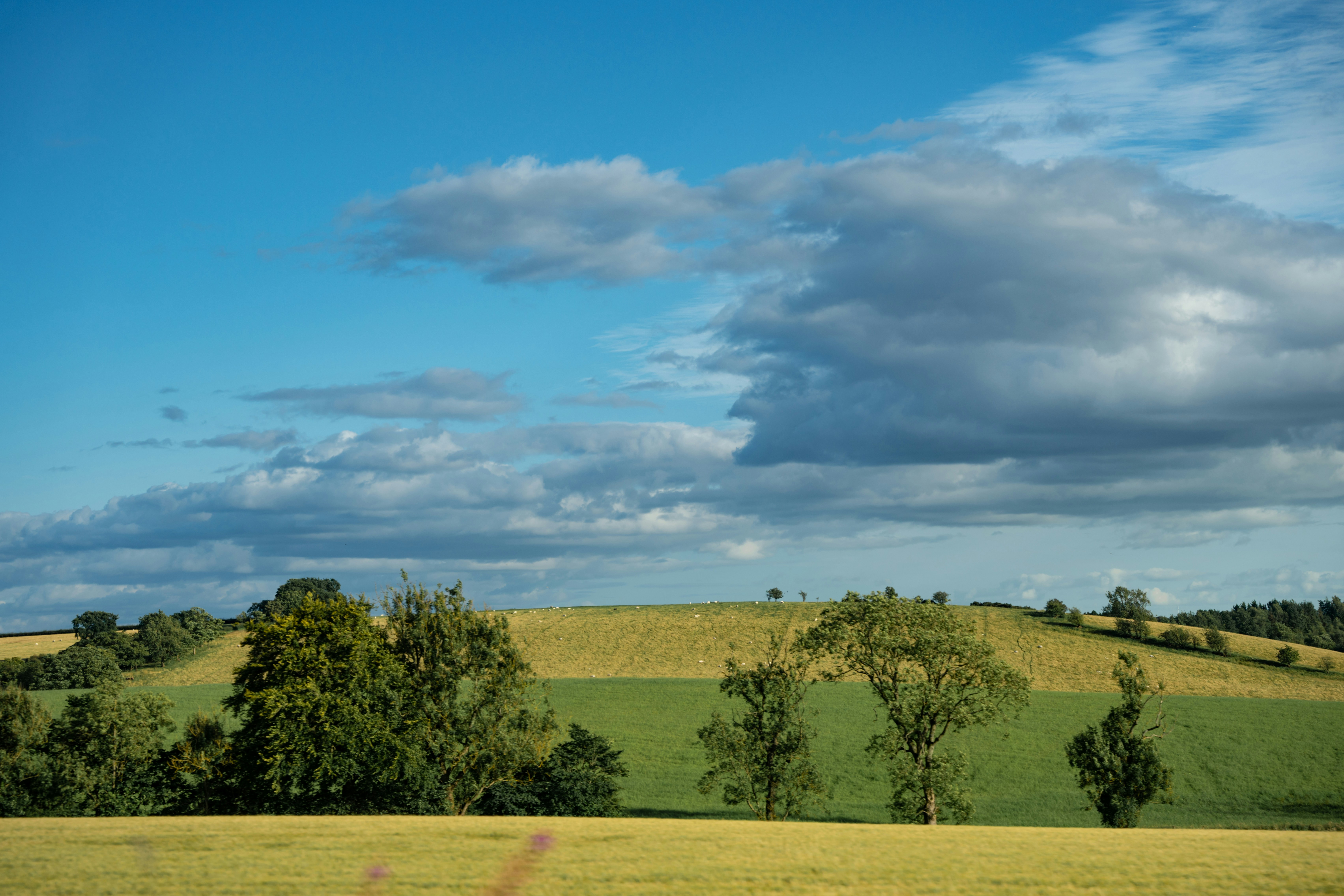 Photo by winstontjia