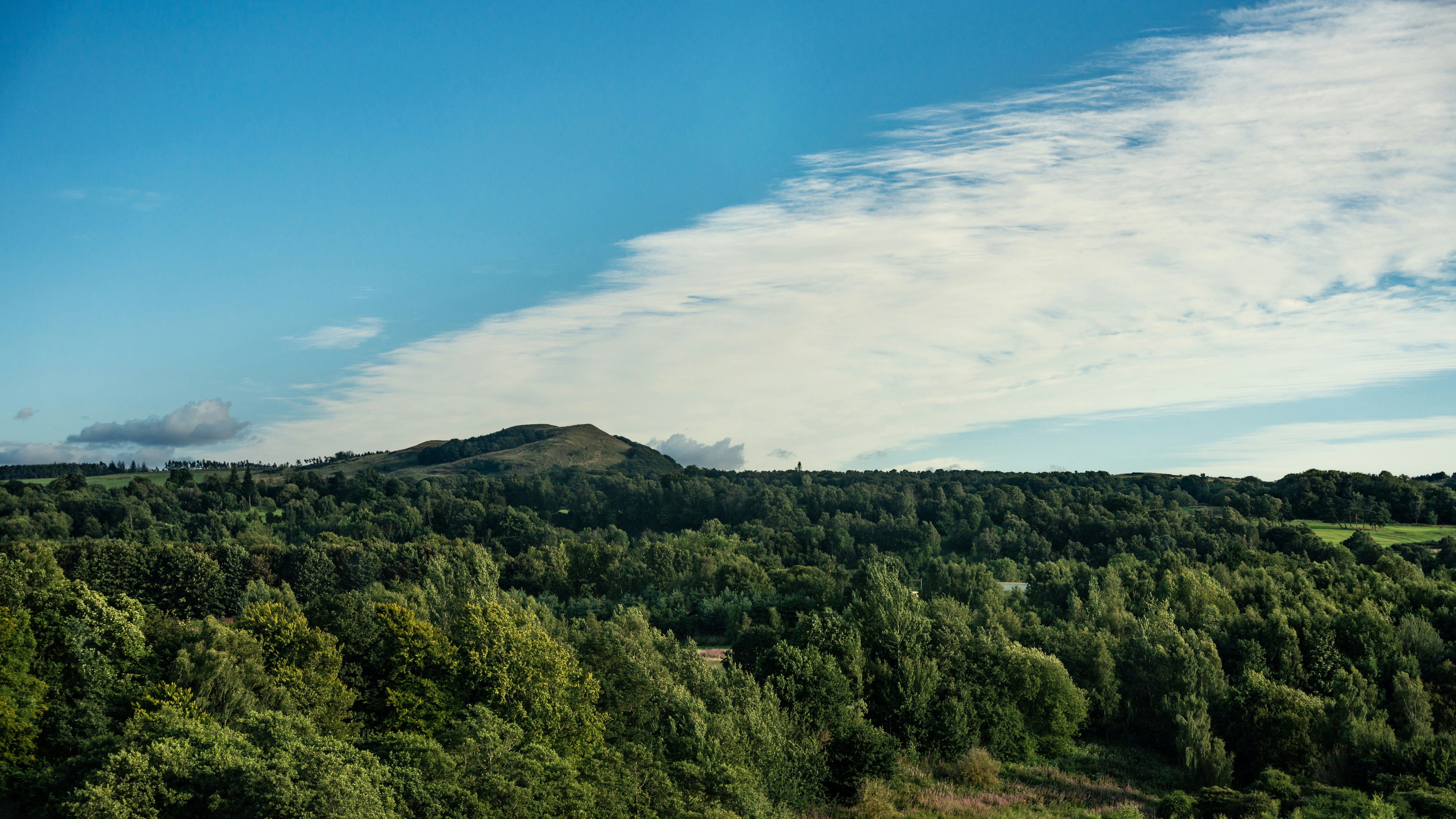 Photo by winstontjia