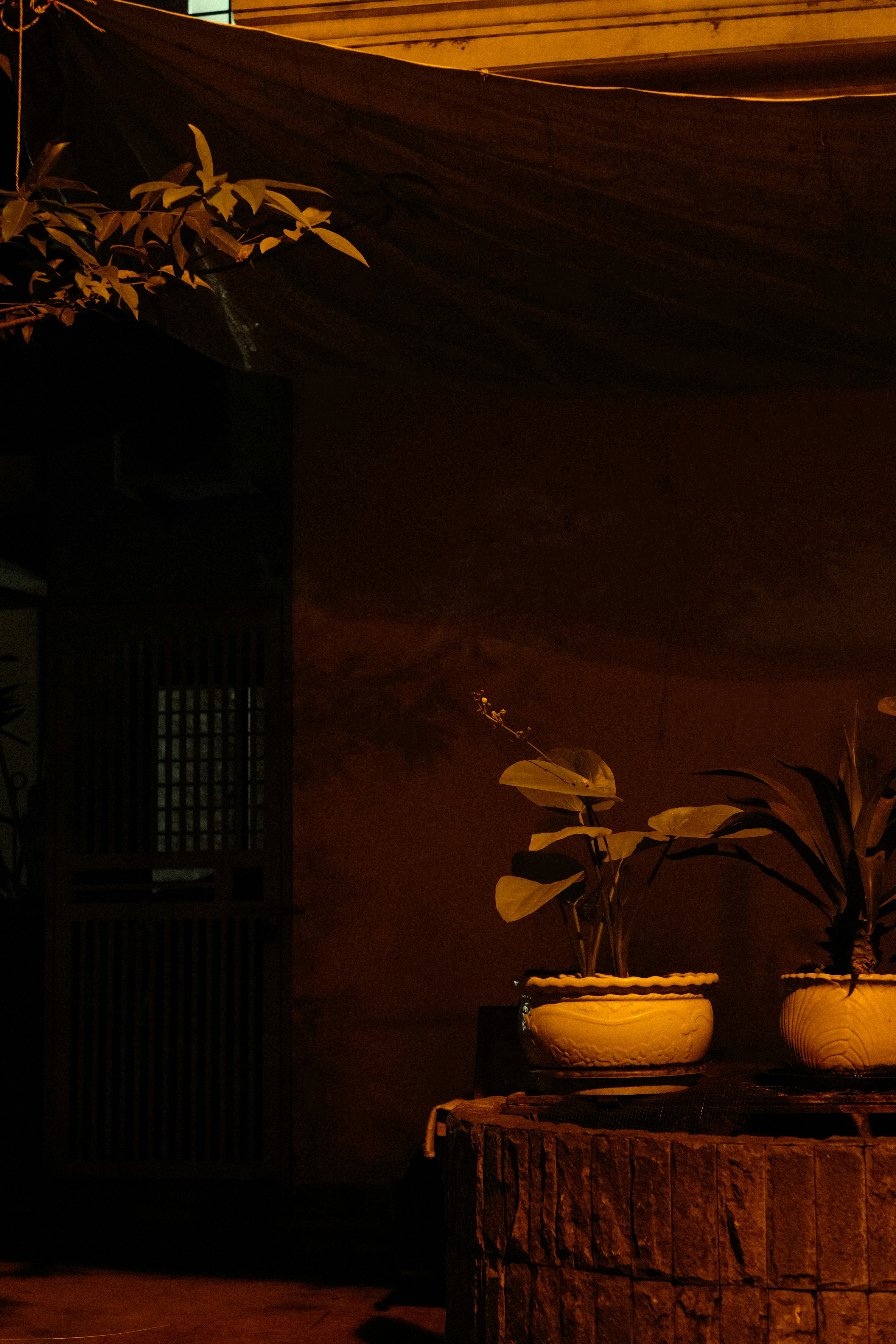 Photo by donguyenkhanhs