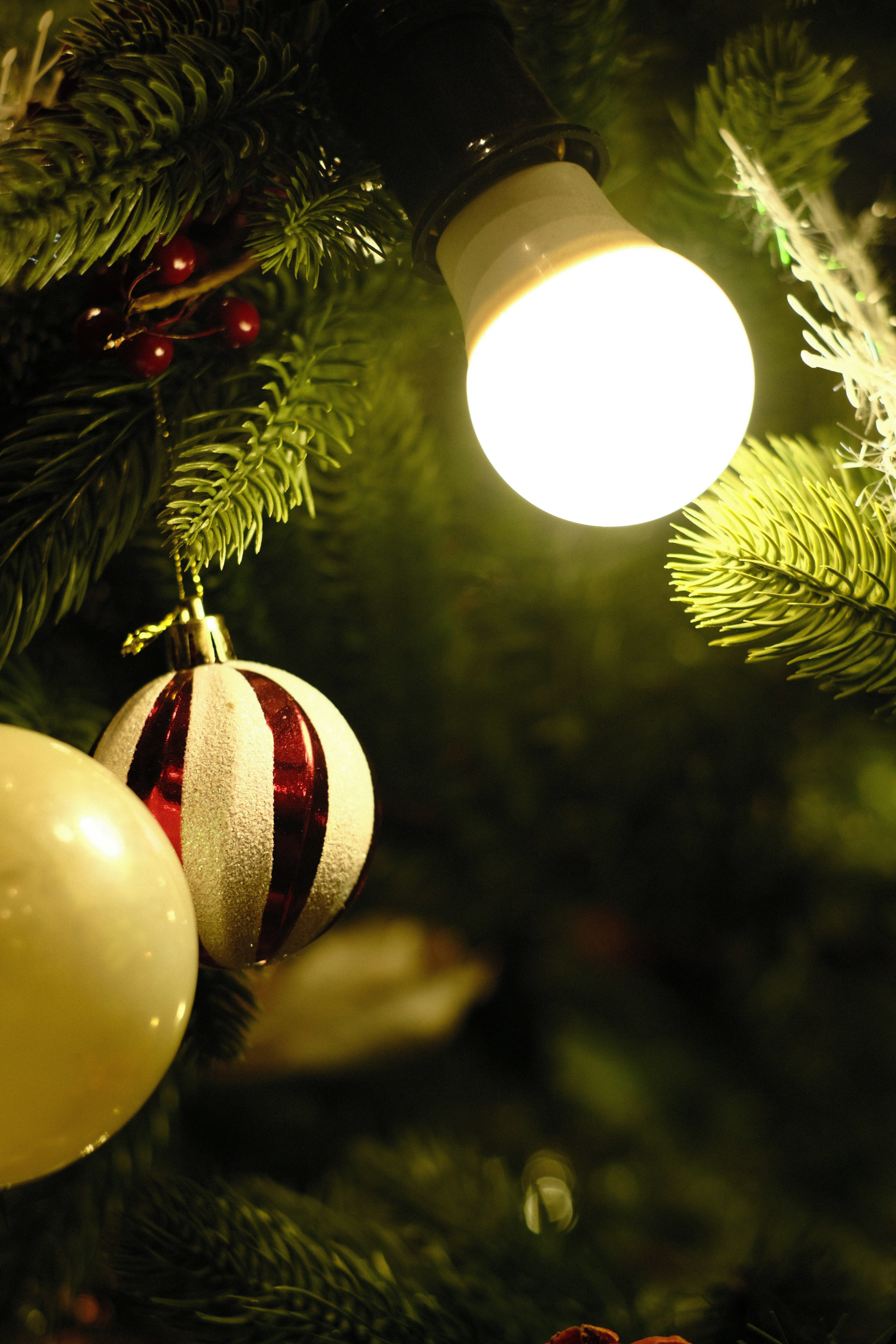 Photo by donguyenkhanhs