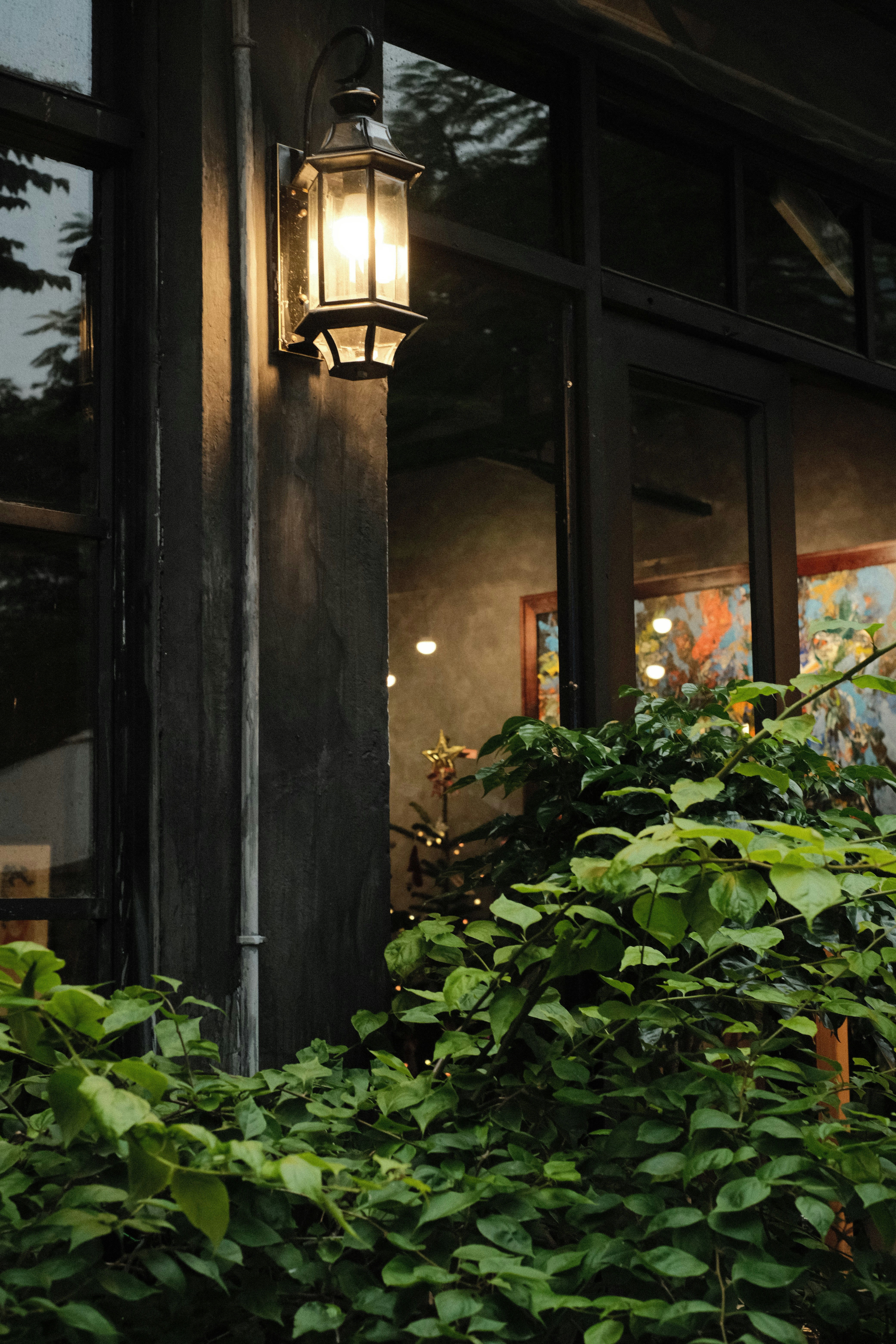 Photo by donguyenkhanhs