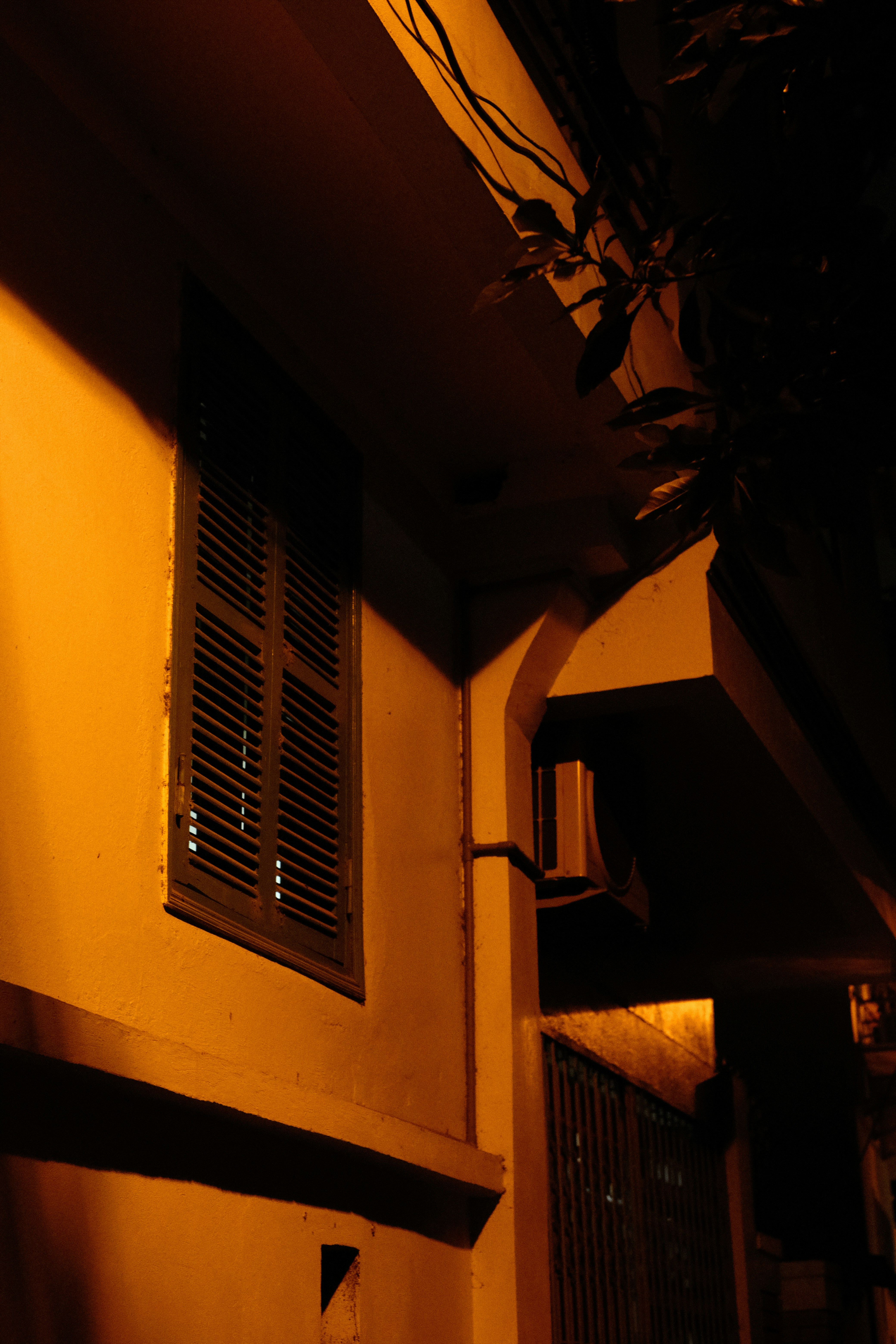 Photo by donguyenkhanhs