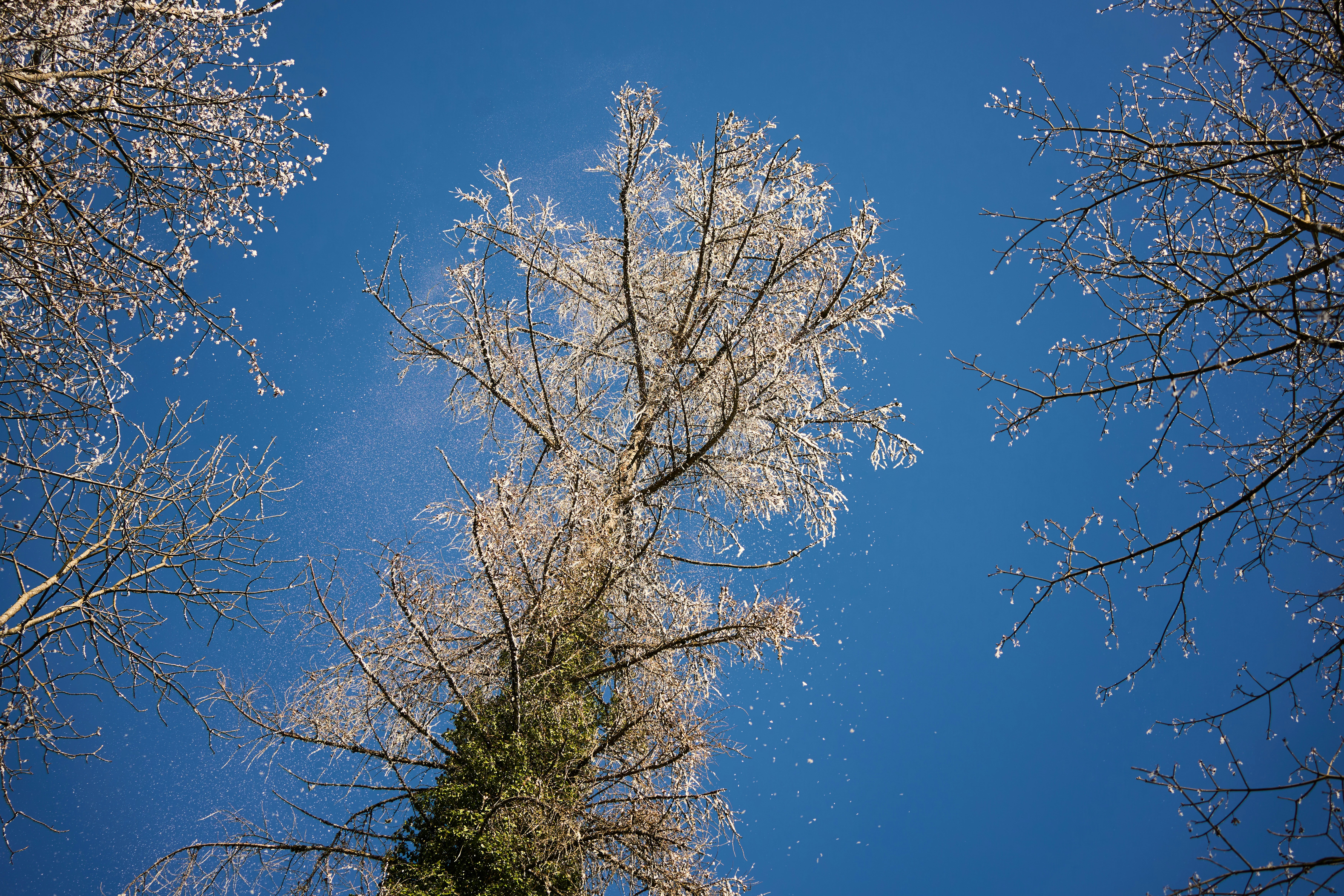 Photo by wolfgang_hasselmann