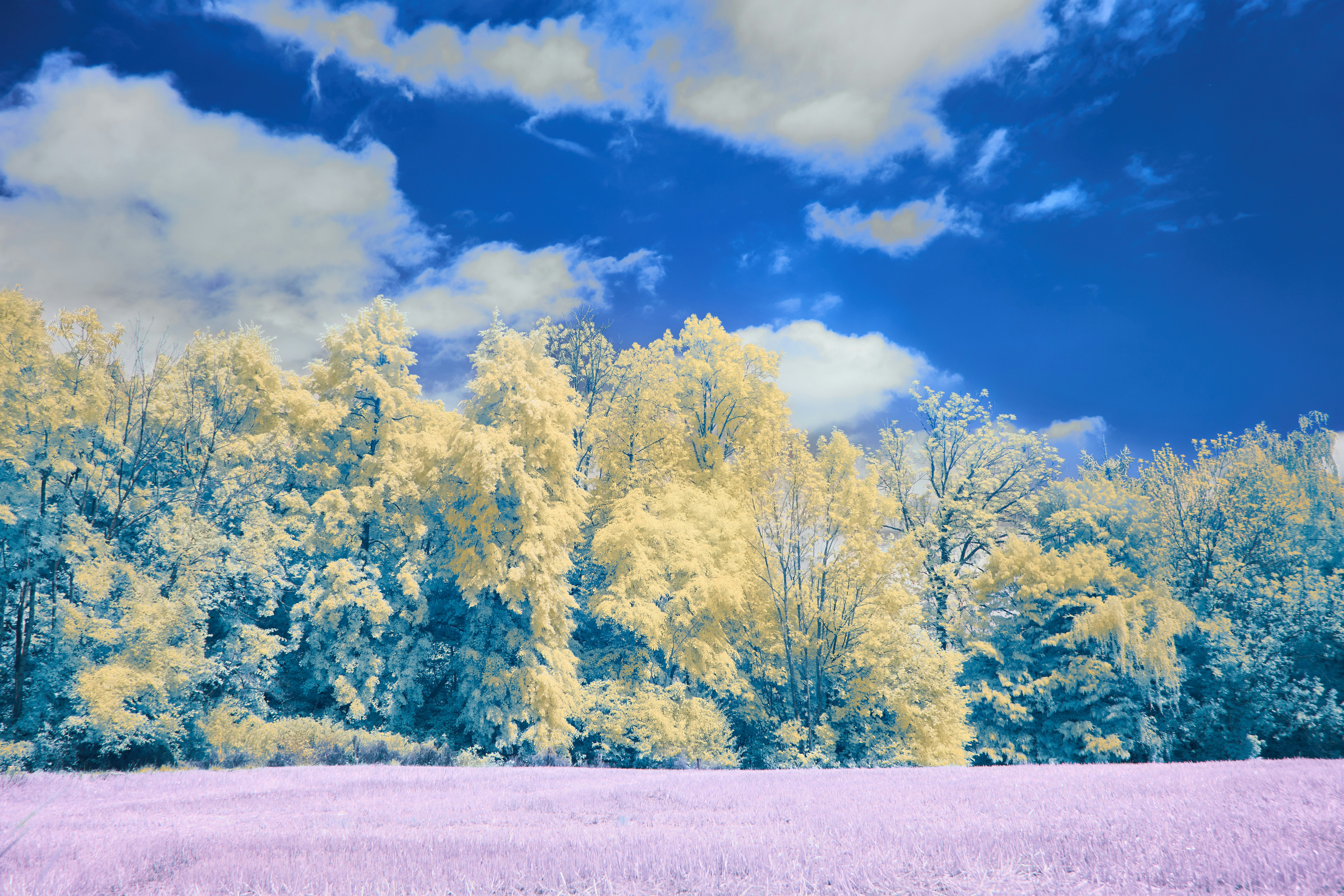 Photo by wolfgang_hasselmann