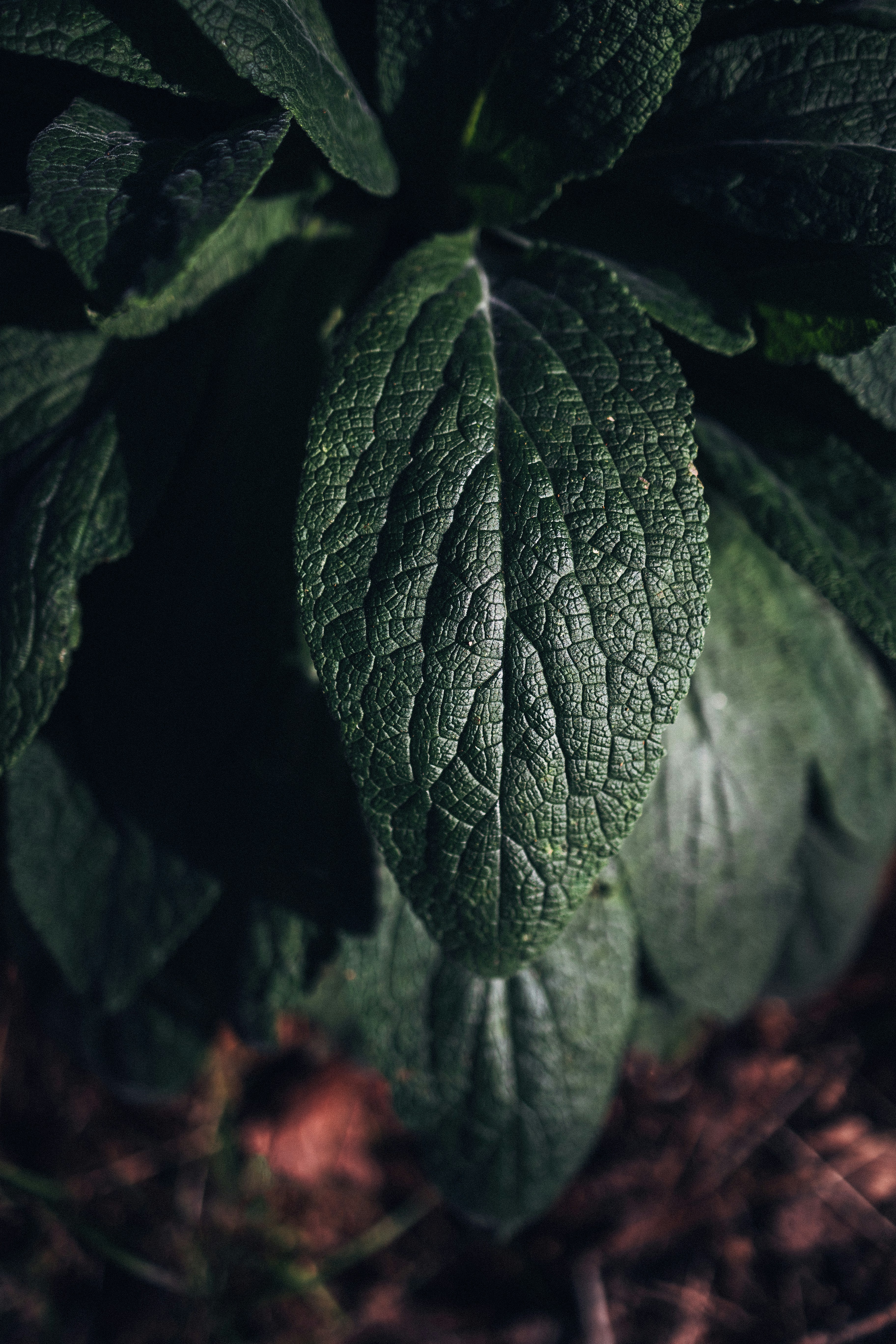 Photo by danny_rienecker