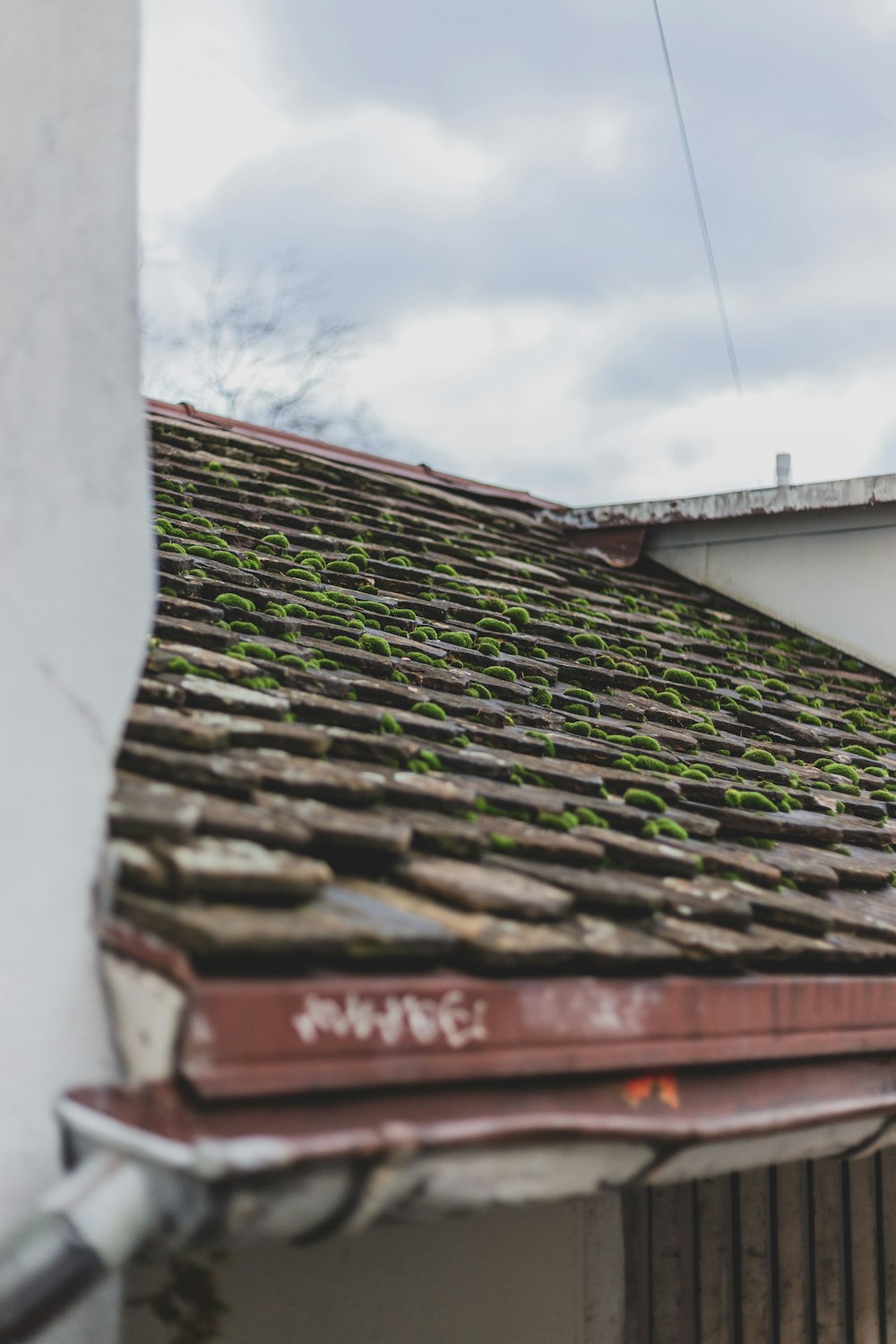 the roof of a building with moss growing on it