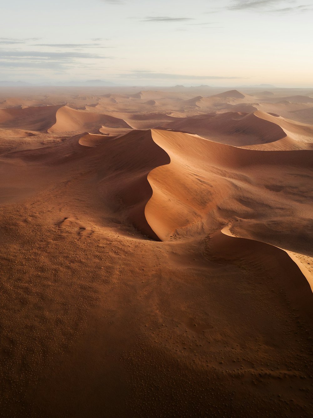 모래 언덕이 있는 사막의 전망
