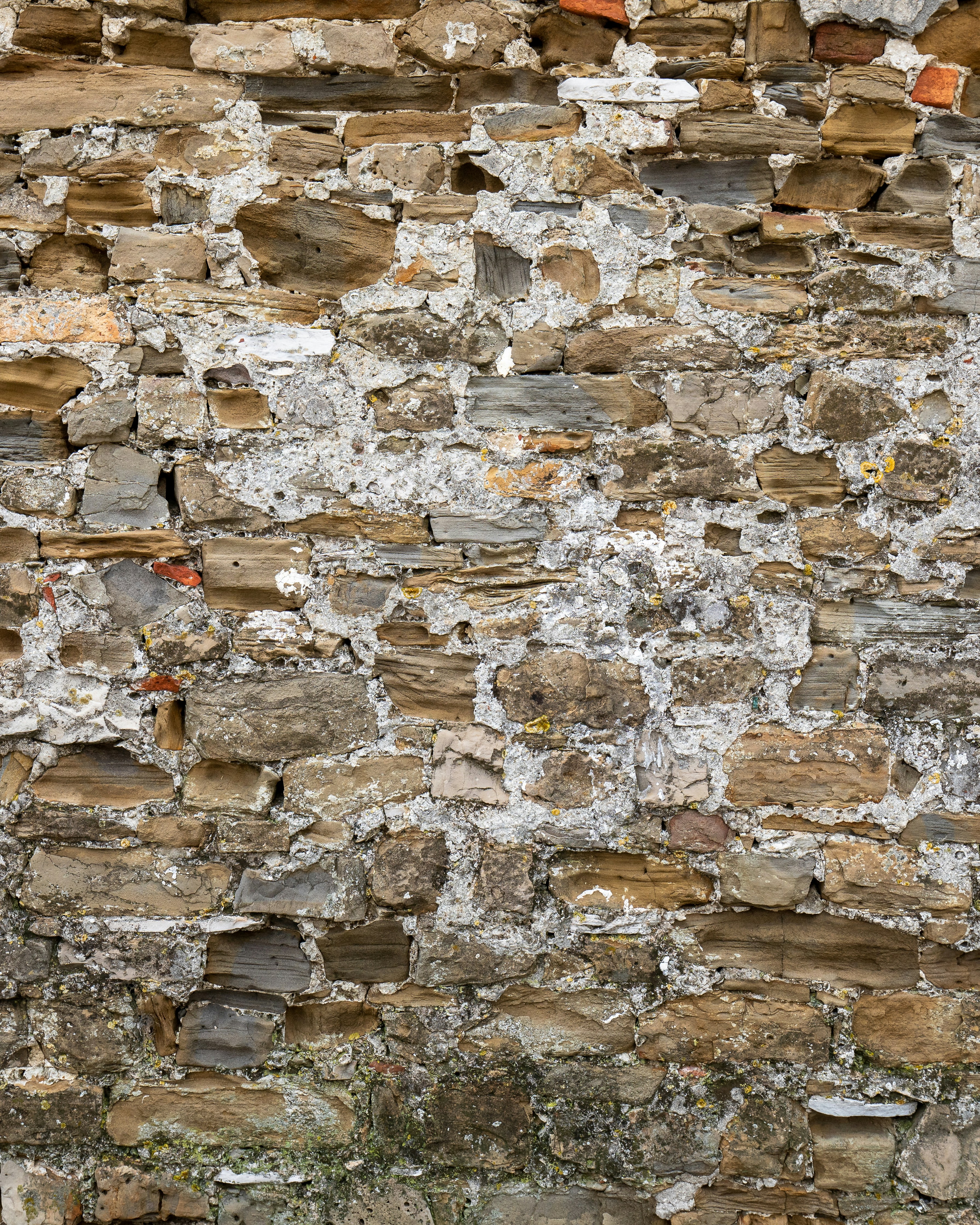 Photo by danny_rienecker