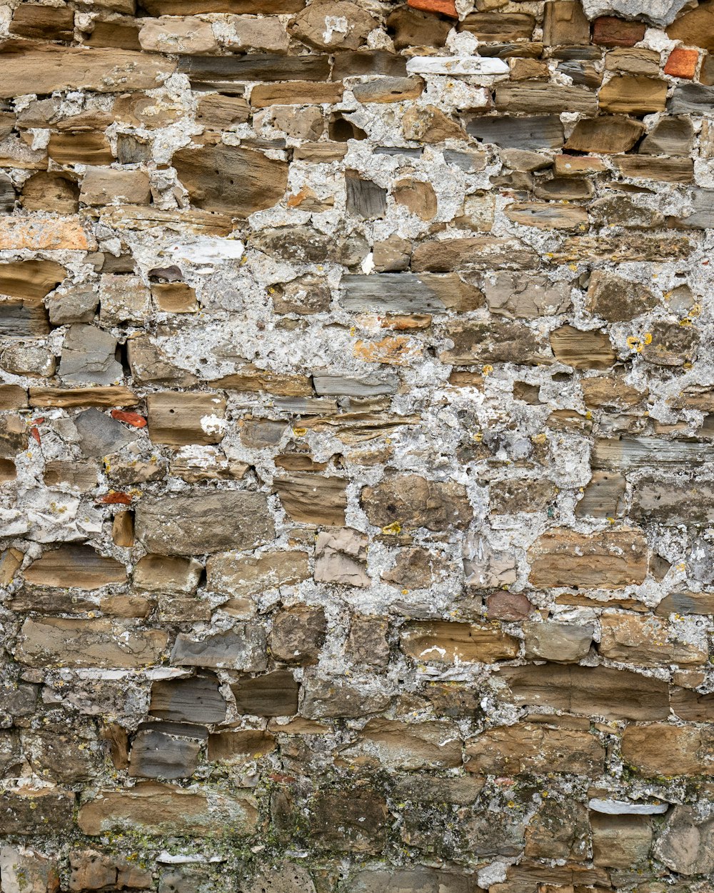 a cat sitting on a ledge in front of a stone wall