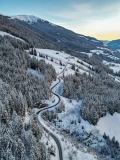 a winding road surrounded by snow covered trees