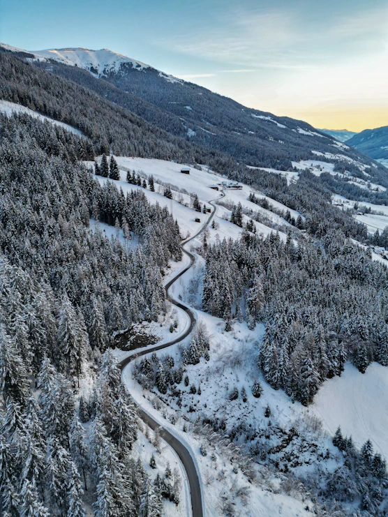 a winding road surrounded by snow covered trees