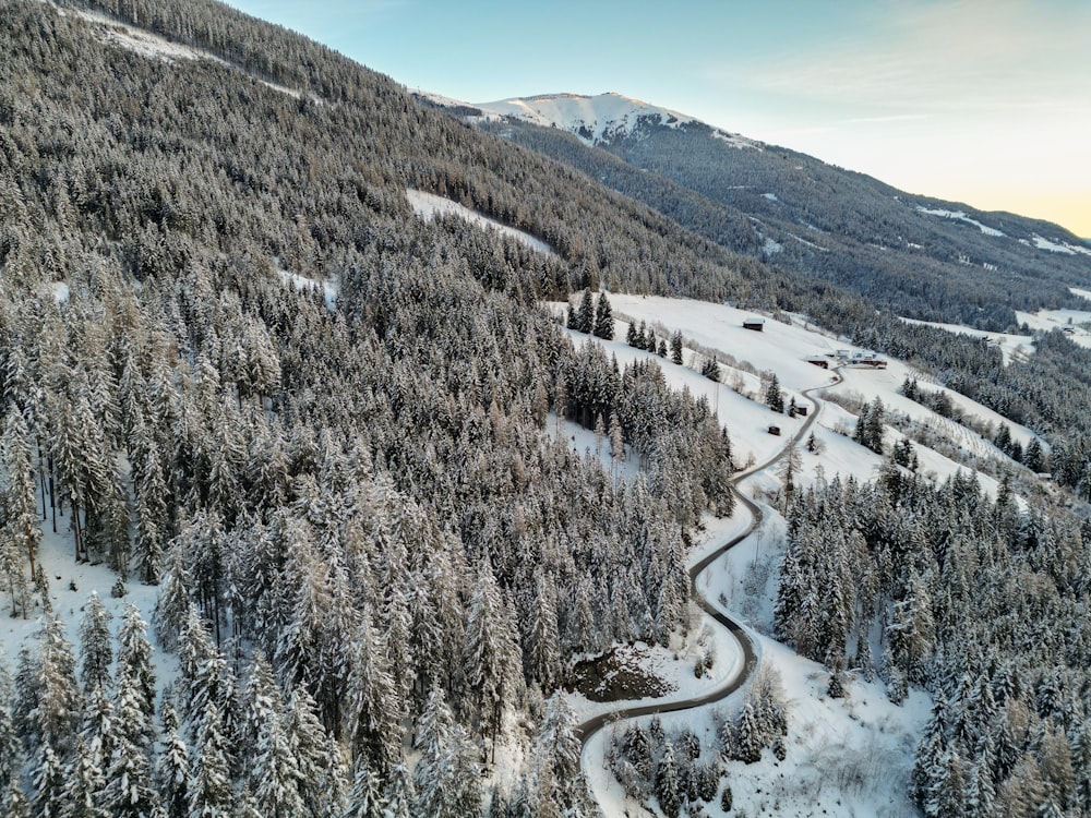 a winding road in the middle of a snow covered forest