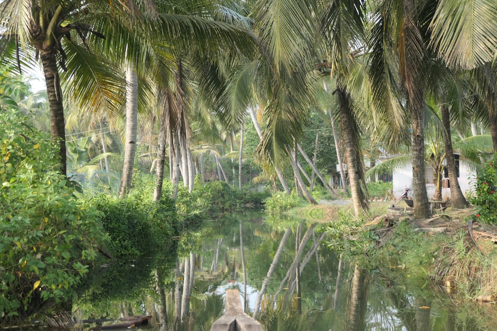 a boat floating down a river surrounded by palm trees
