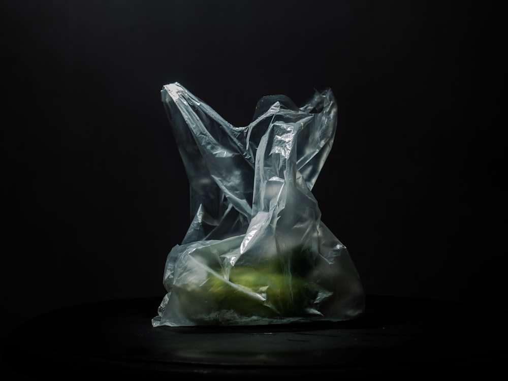 a plastic bag with a green apple inside of it