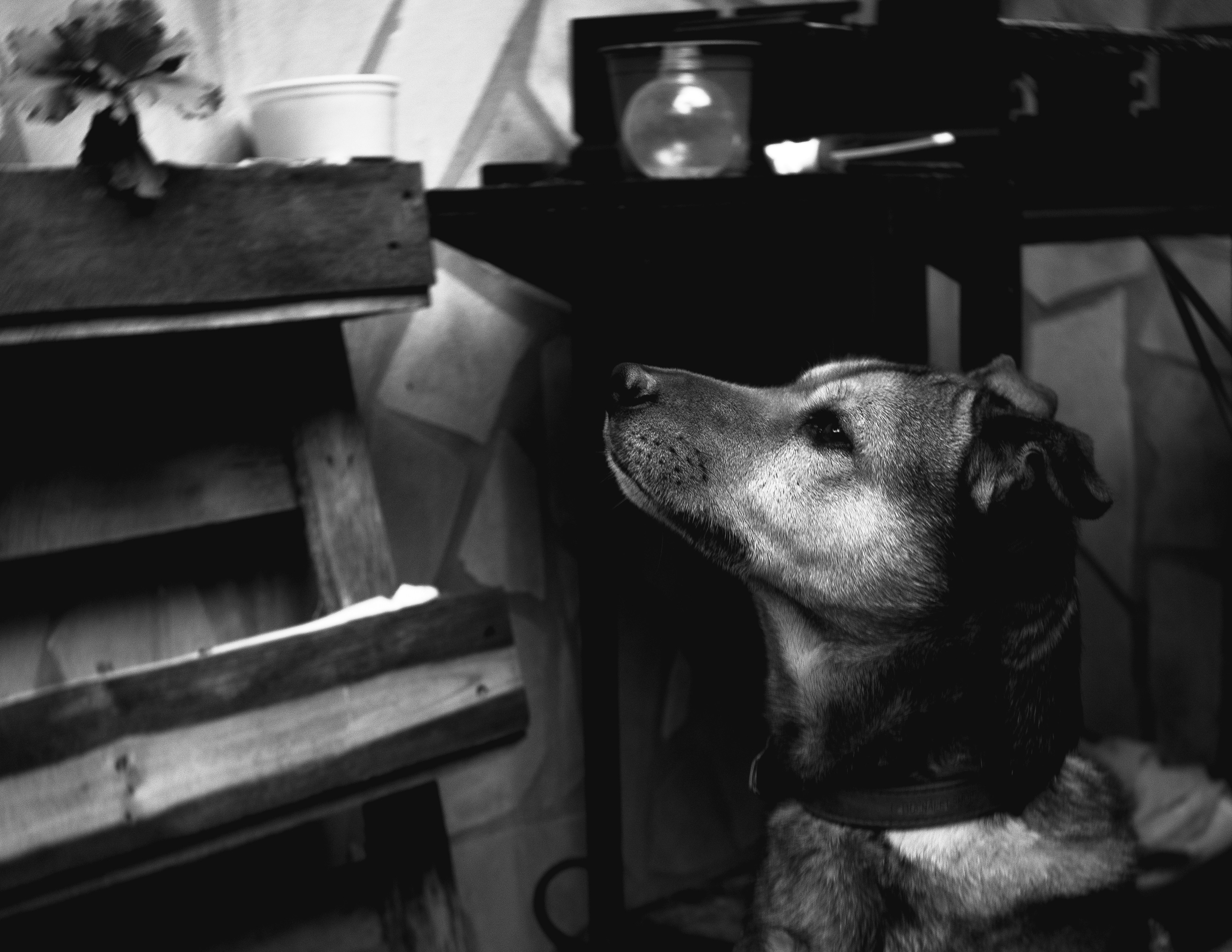 photo-1705840278107-7799e54e1dab?ixid=M3